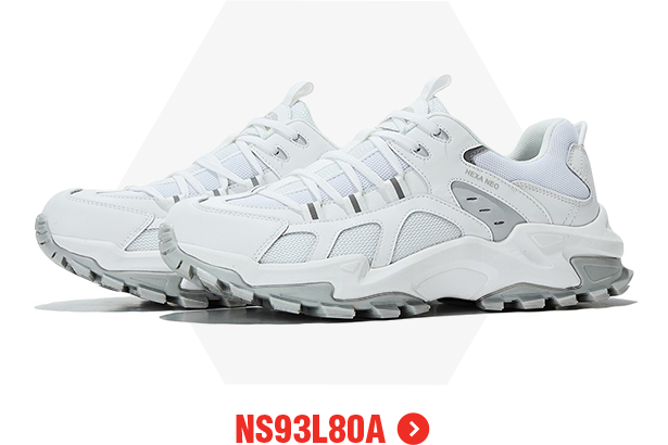 NS93L80A_m_69063