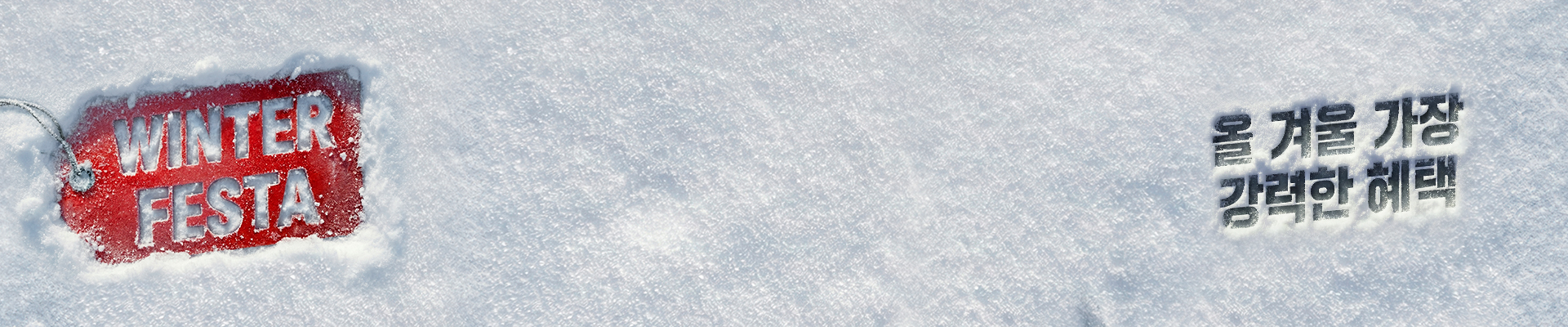 WINTER FESTA