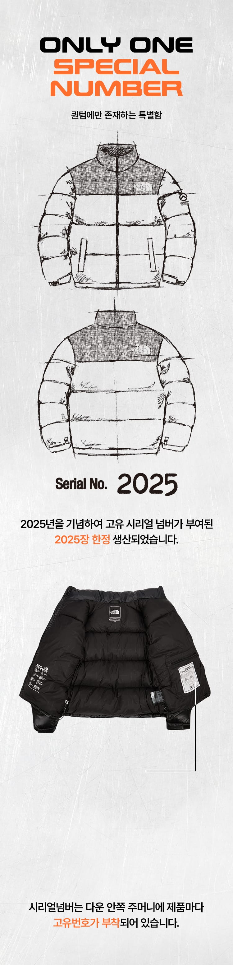2025 LIMITED QUANTUM NUPTSE