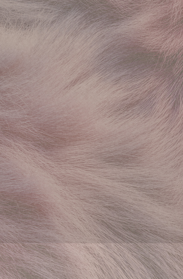 PURE PERFORMANCE WARM STYLE