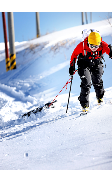 SUMMIT SERIES COLLECTION