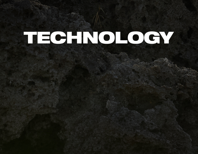 LIGHT LAYERS, BLOOMING