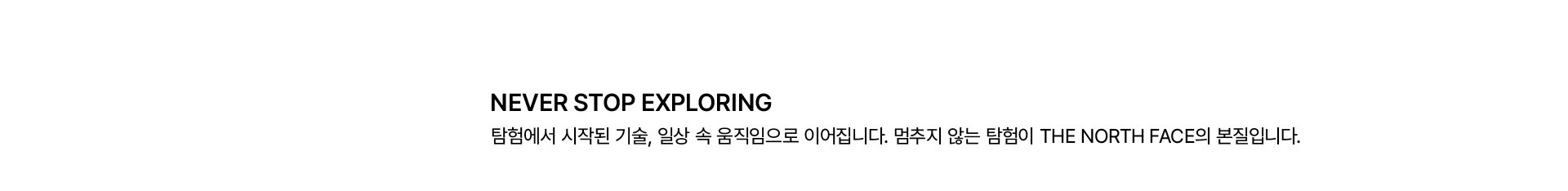 THE NORTH FACE