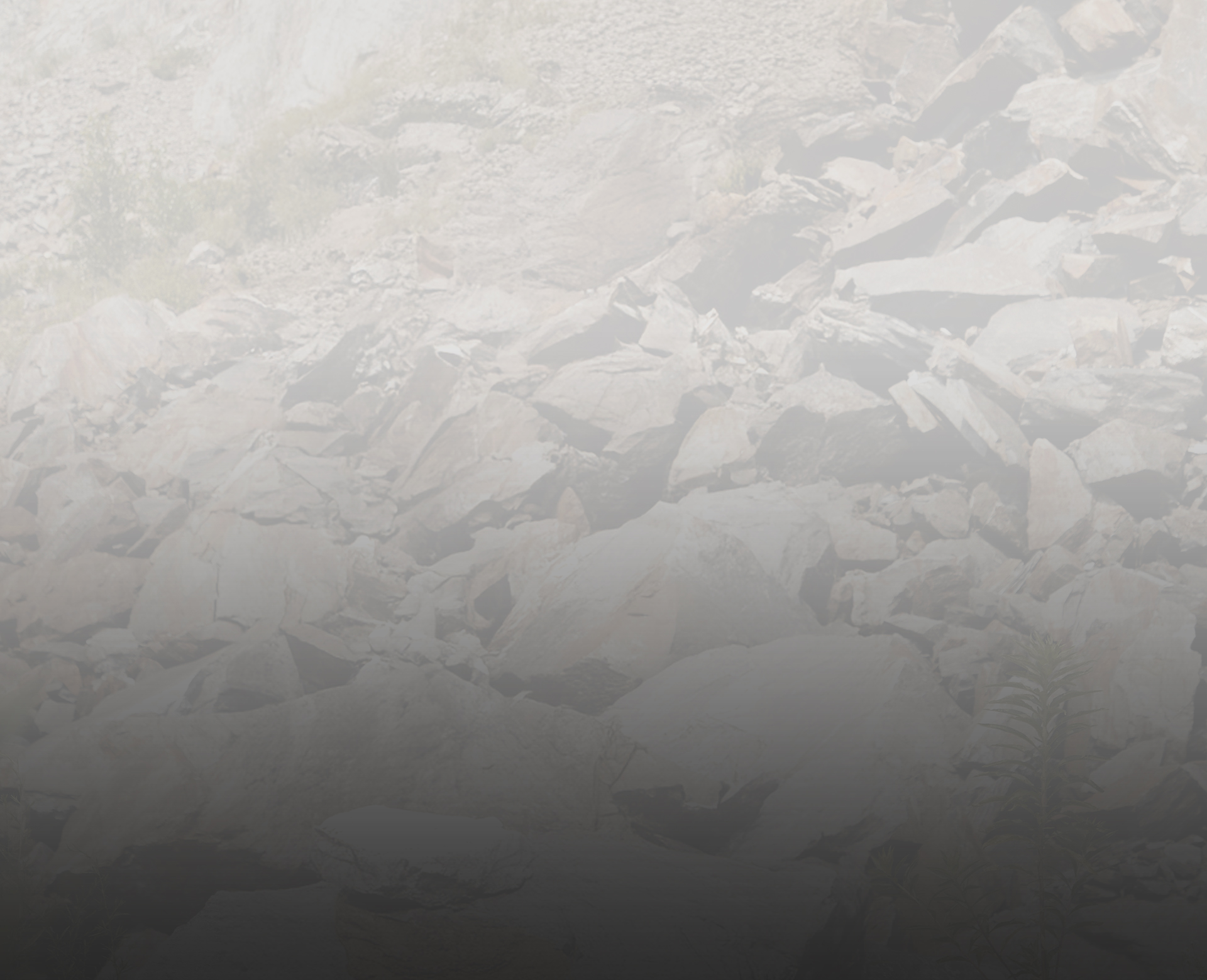 OUTDOOR RESEARCH ITEM