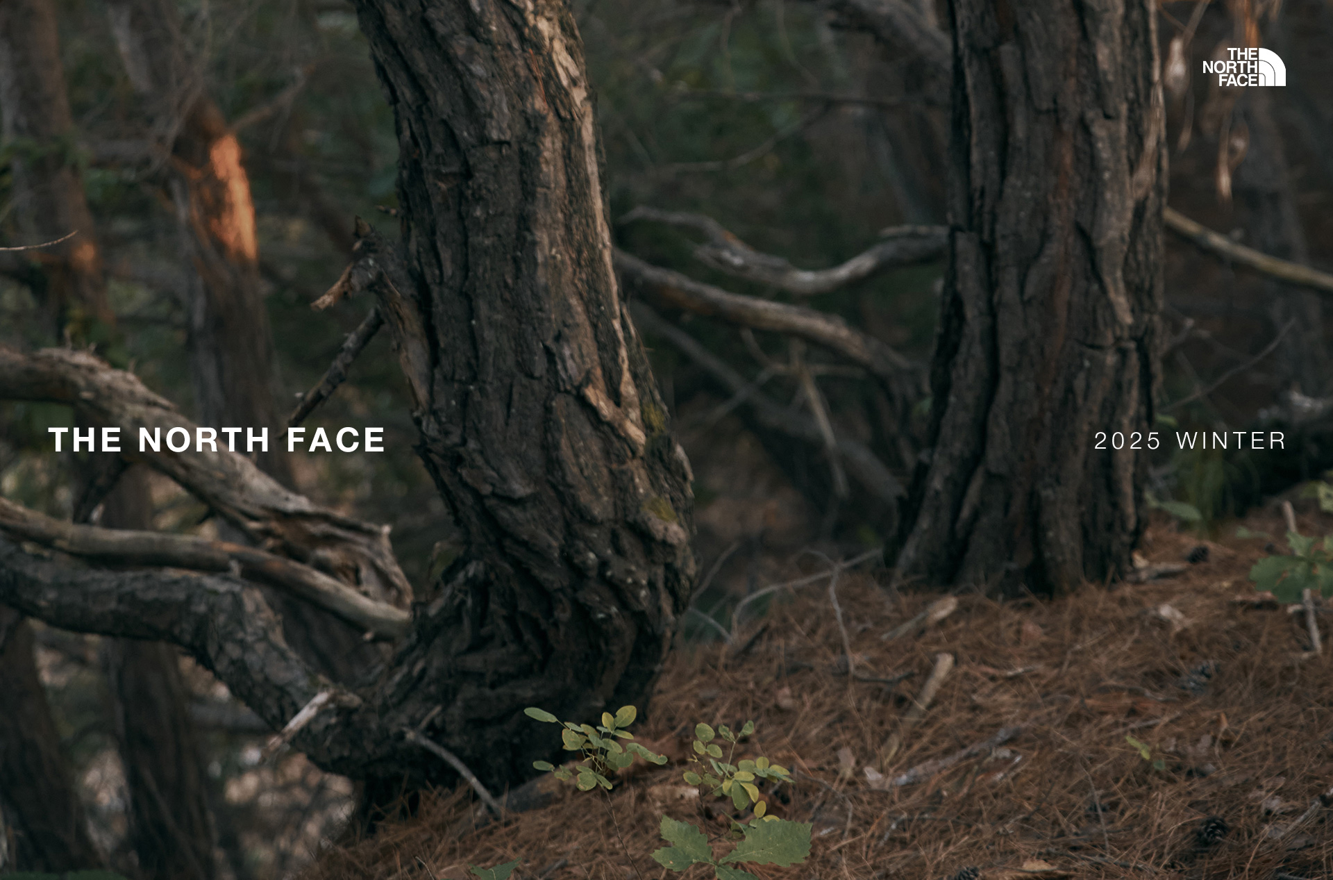 Outdoor Winter ChaEunWoo