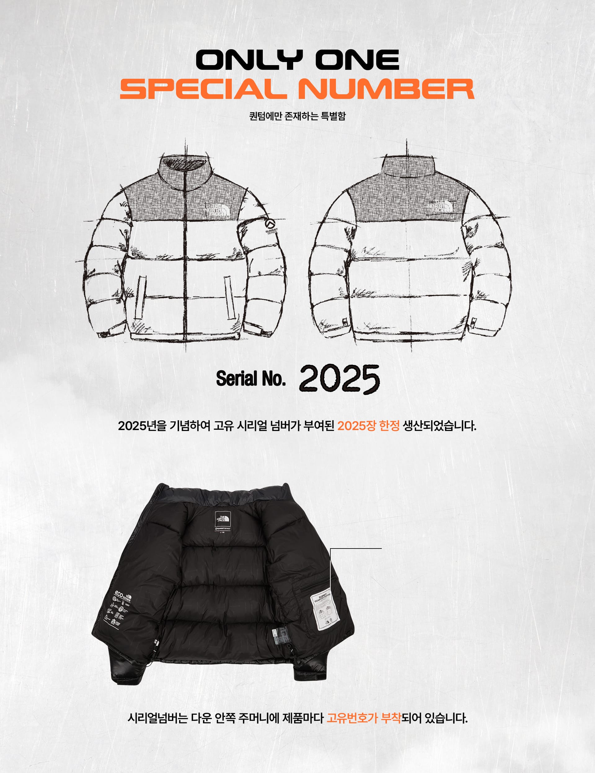 2025 LIMITED QUANTUM NUPTSE