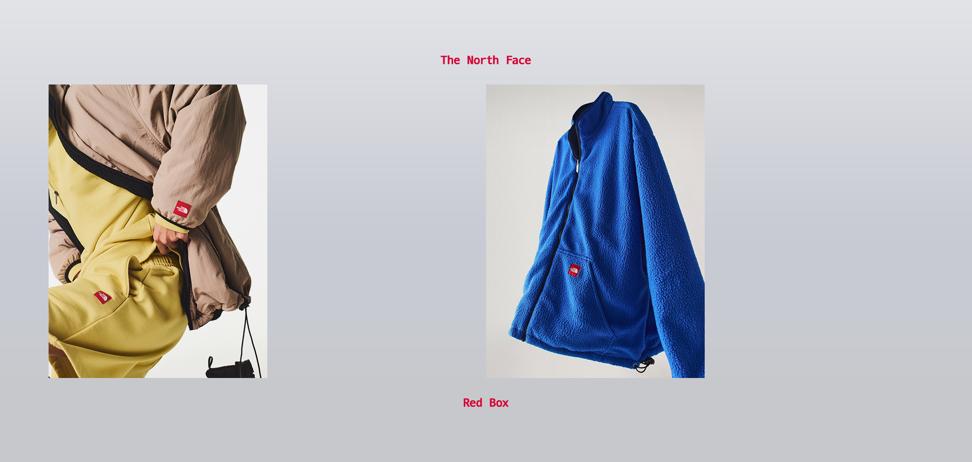 THE NORTH FACE RED BOX