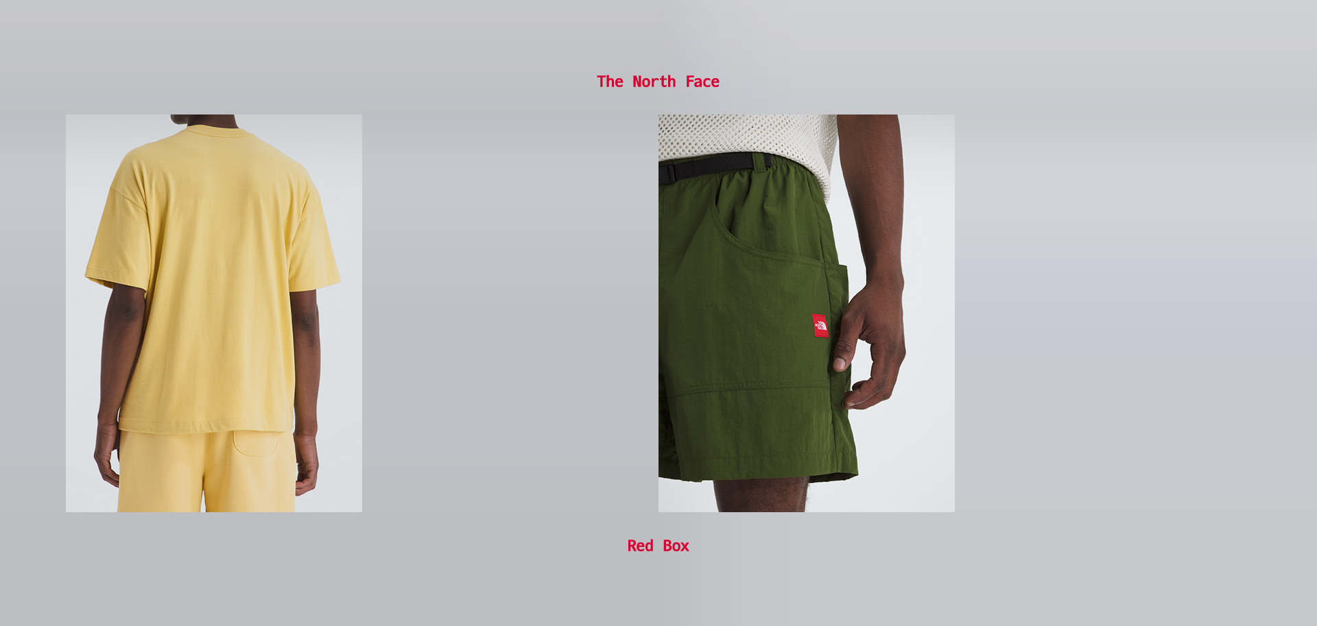 THE NORTH FACE RED BOX