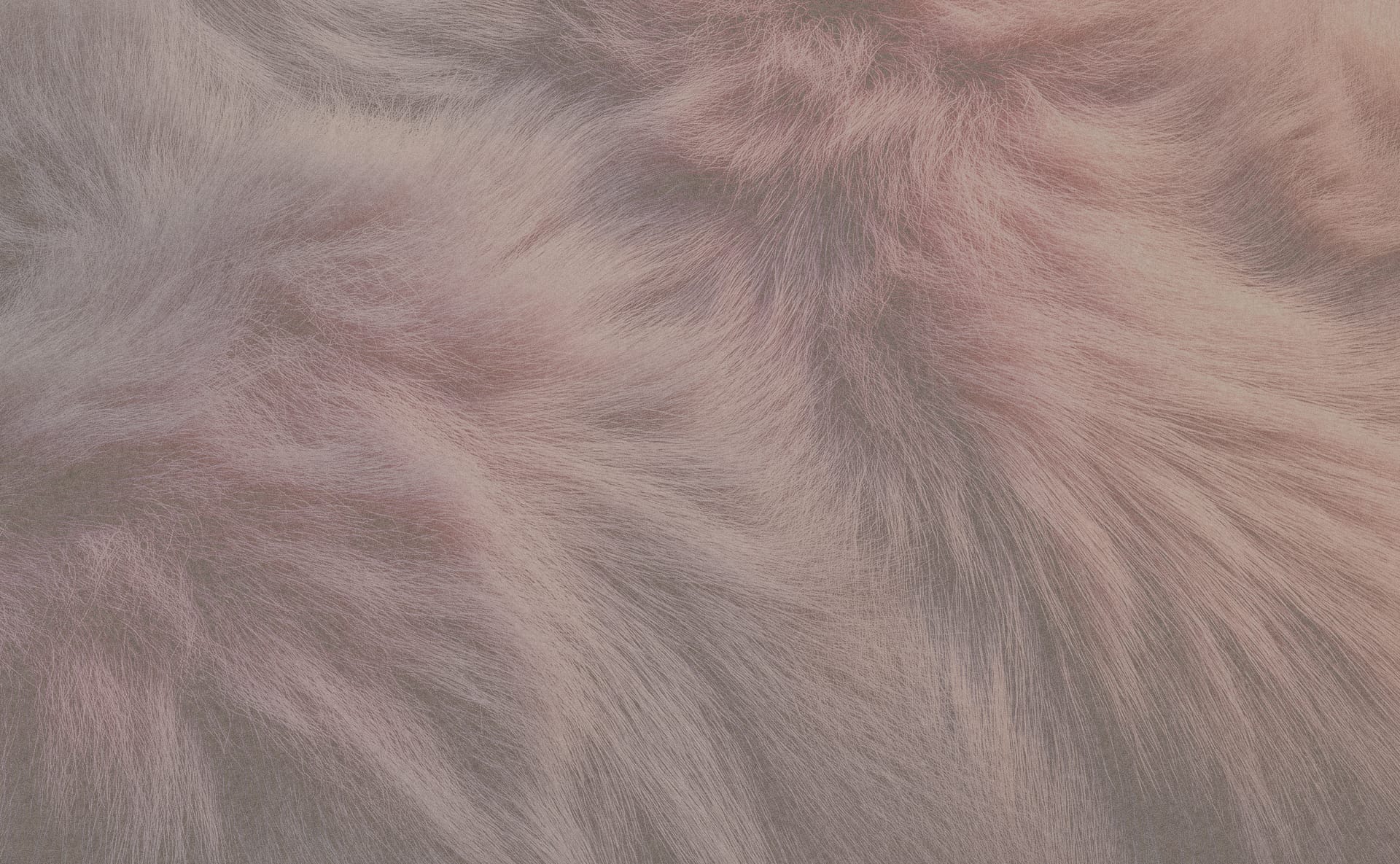 PURE PERFORMANCE WARM STYLE