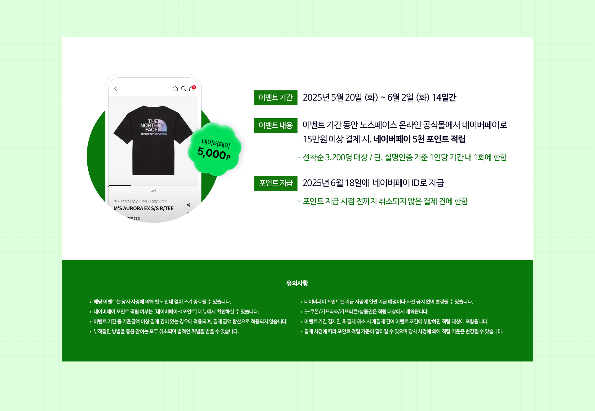 썸머페스타 네이버페이 프로모션