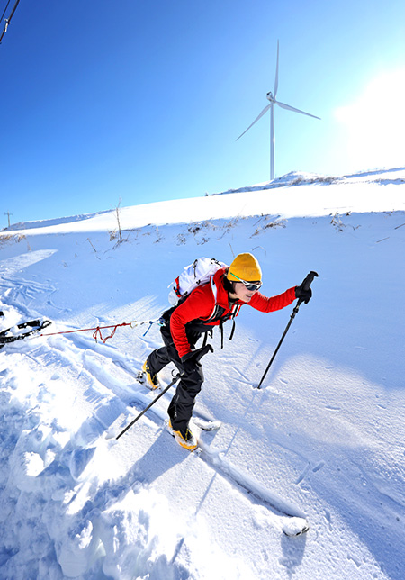 SUMMIT SERIES COLLECTION