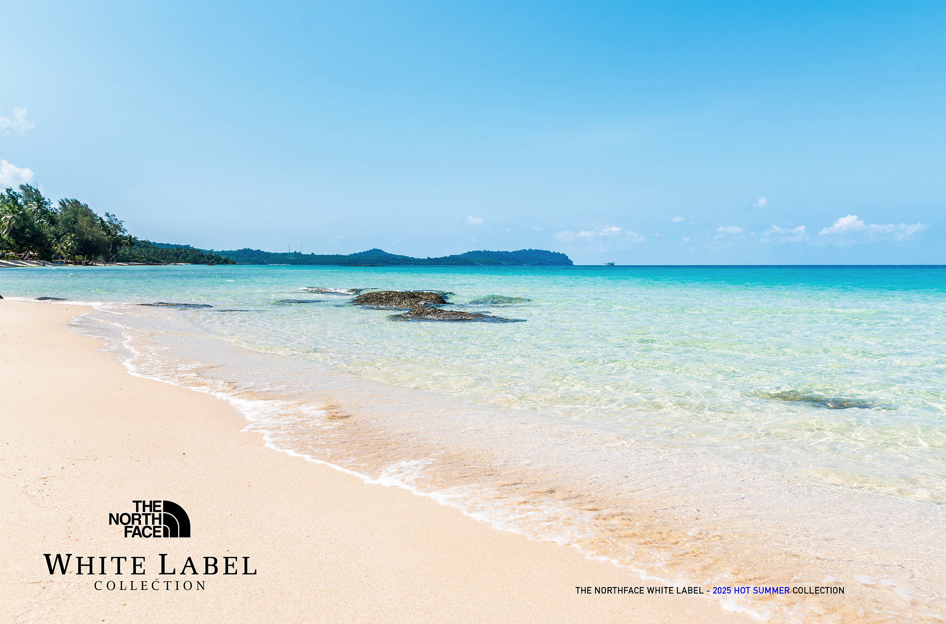 WHITE LABLEL HOT SUMMER