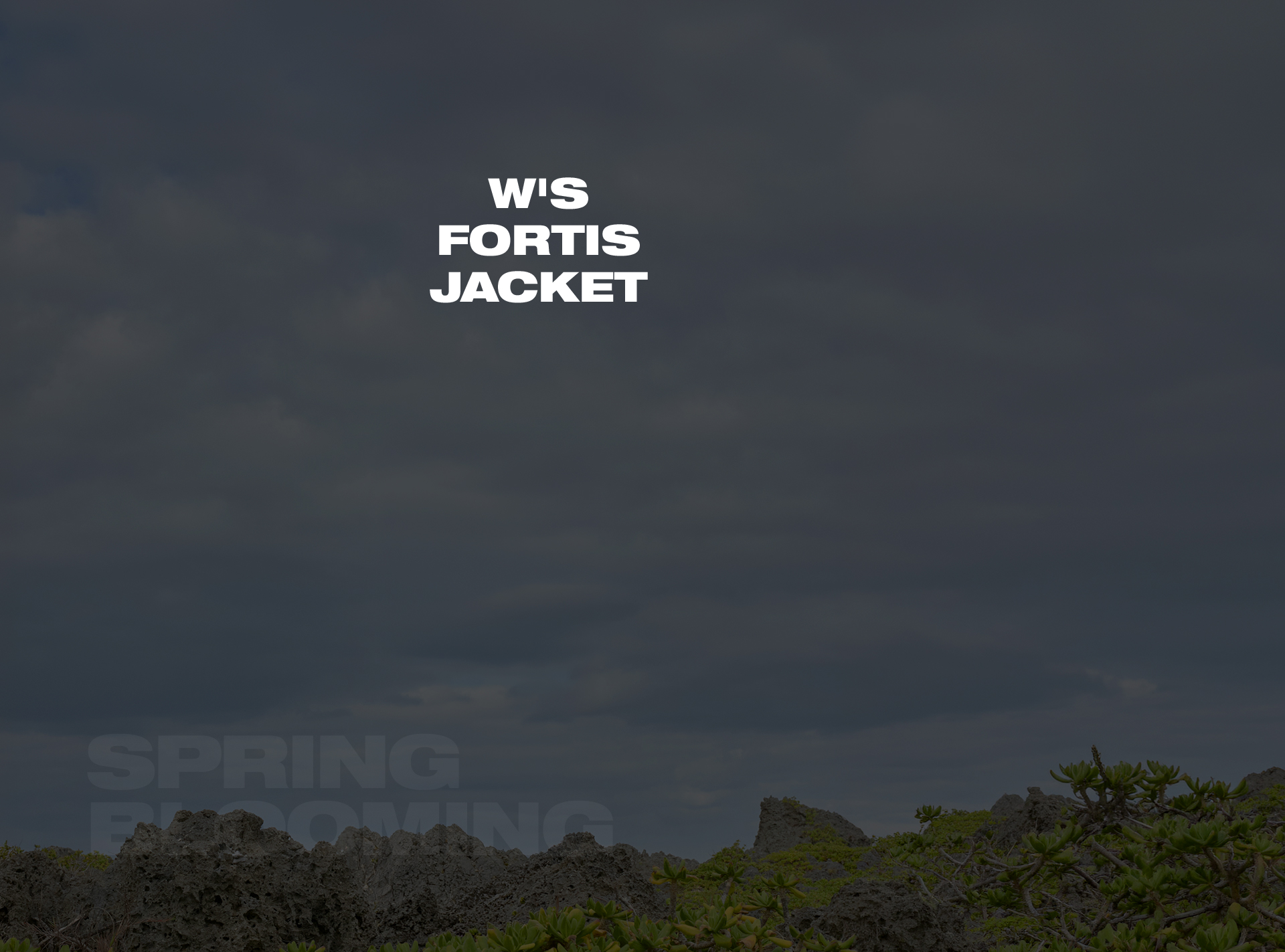 LIGHT LAYERS, BLOOMING