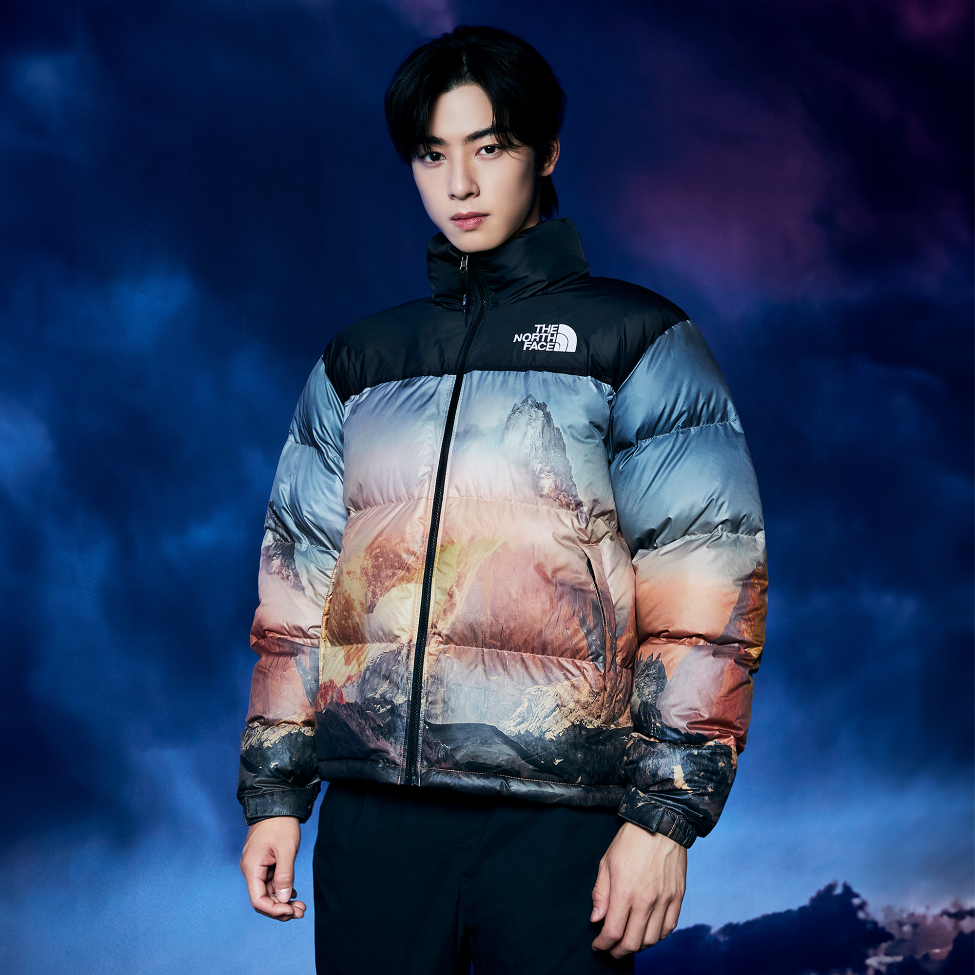 Men's novelty hotsell nuptse jacket