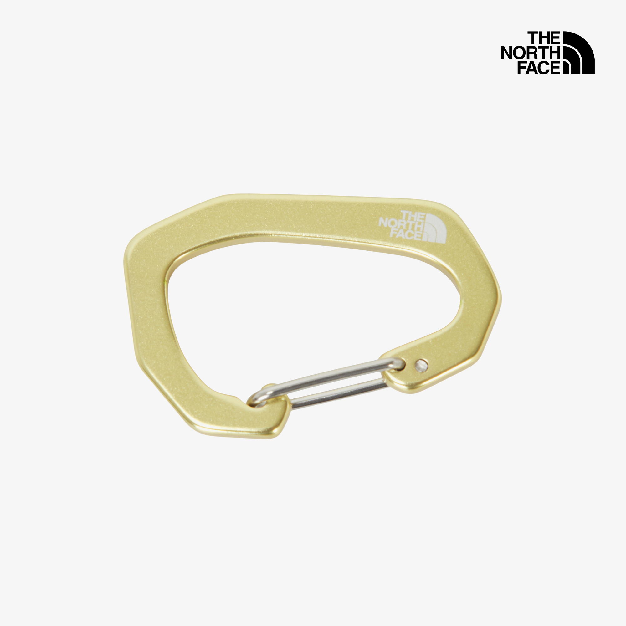 TNF CARABINER
