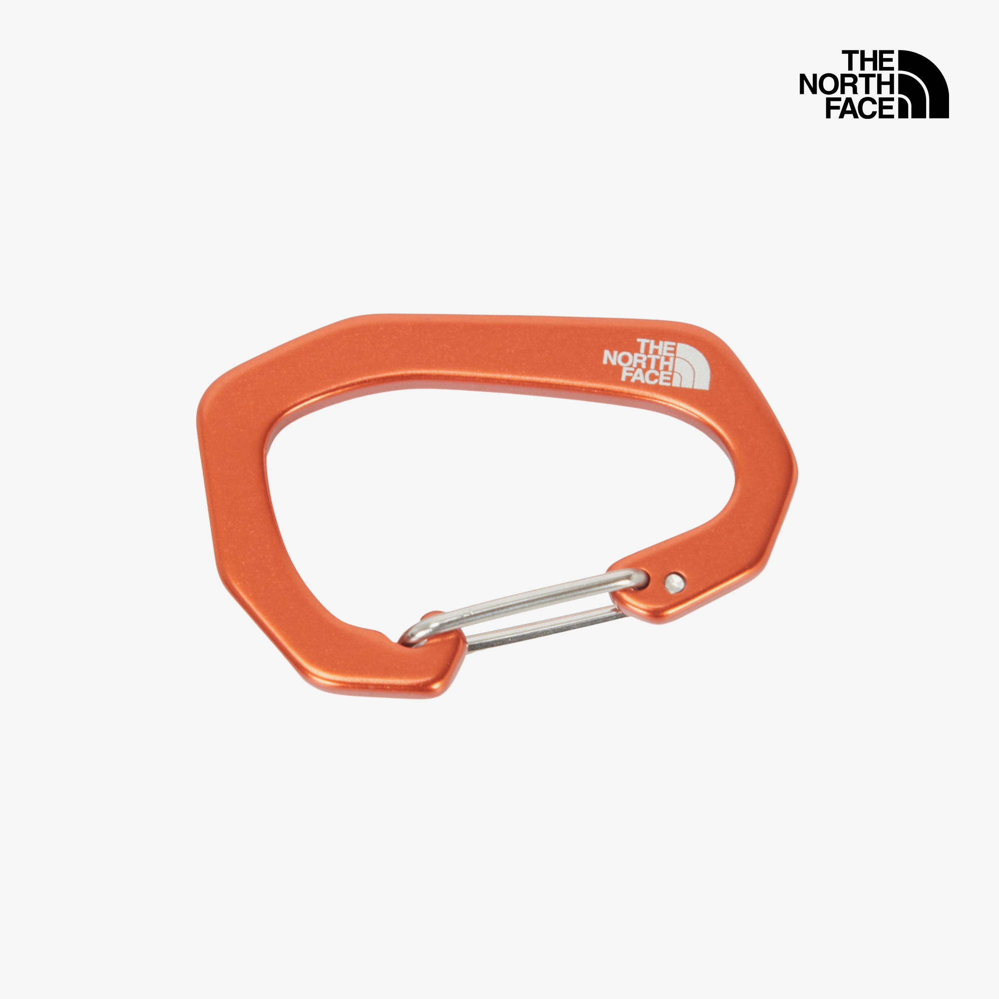 TNF CARABINER