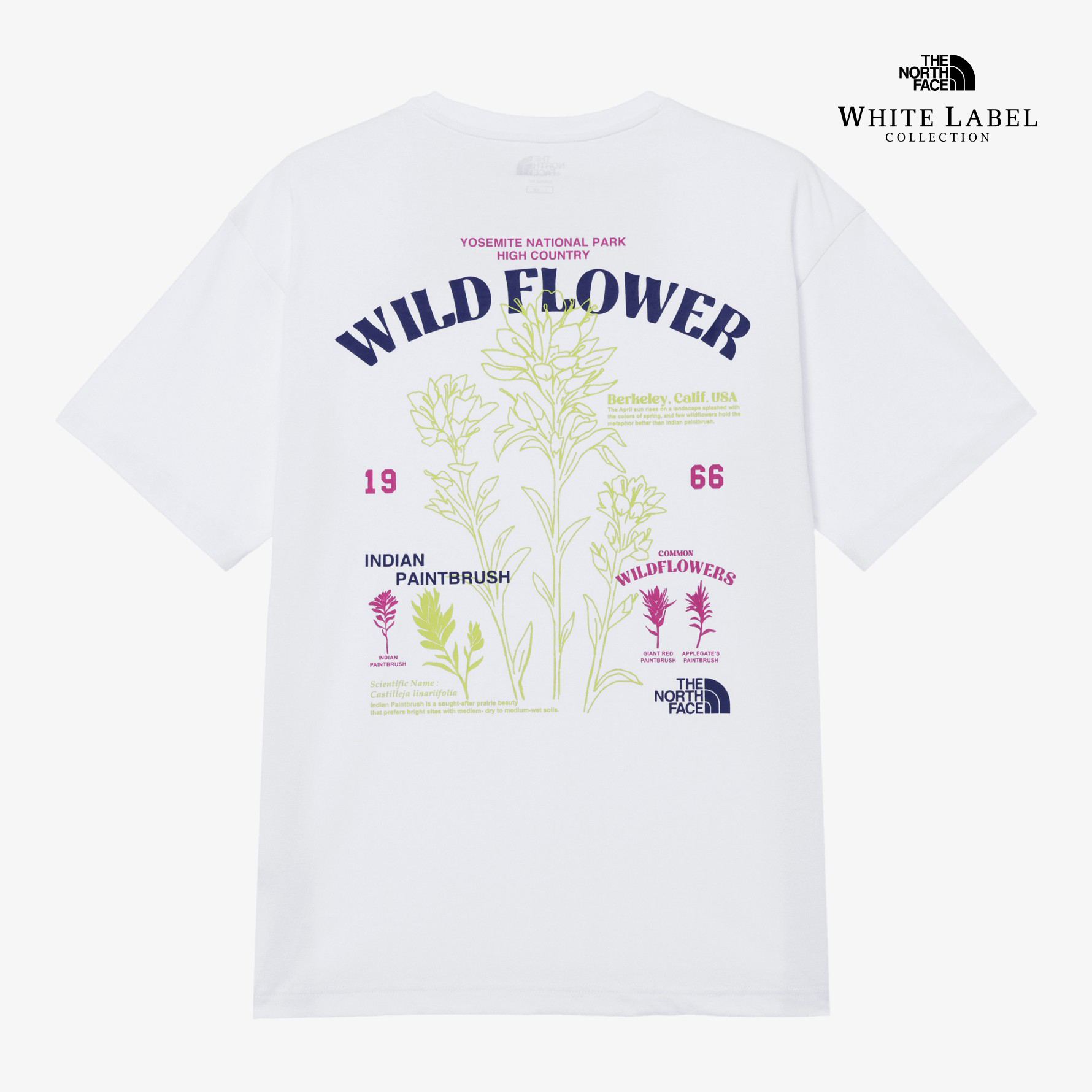FLORAL S/S R/TEE