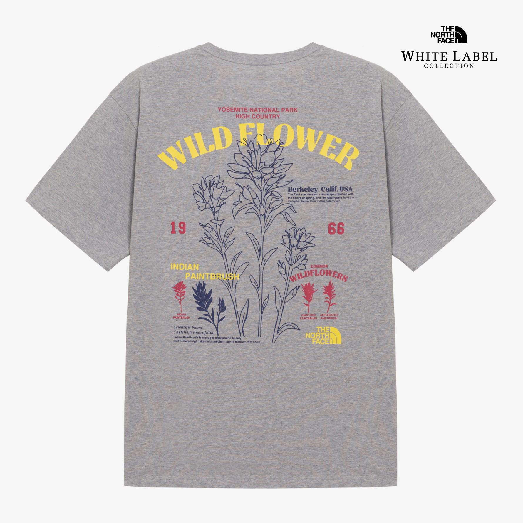 FLORAL S/S R/TEE