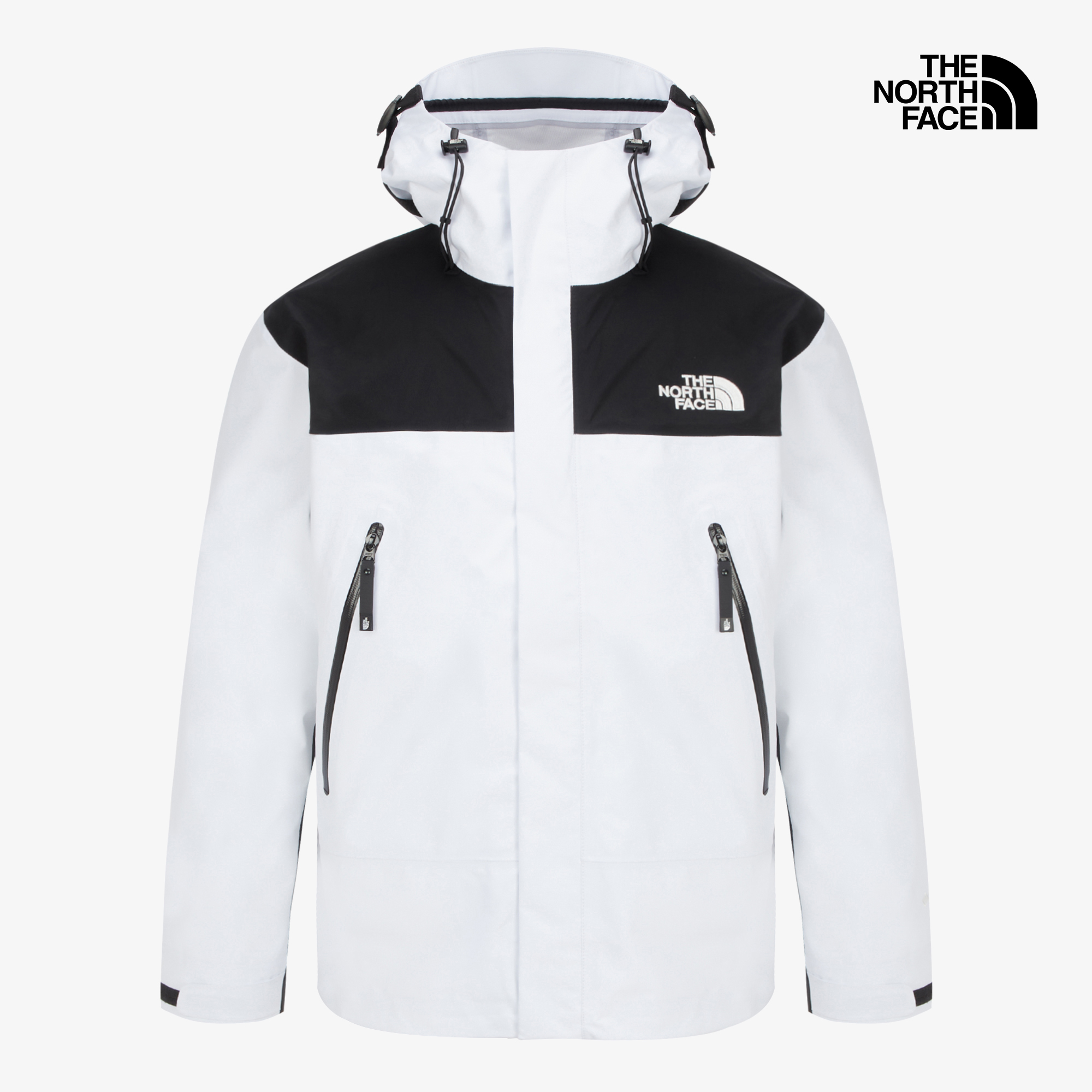 M'S GTX MOUNTAIN 3L JACKET