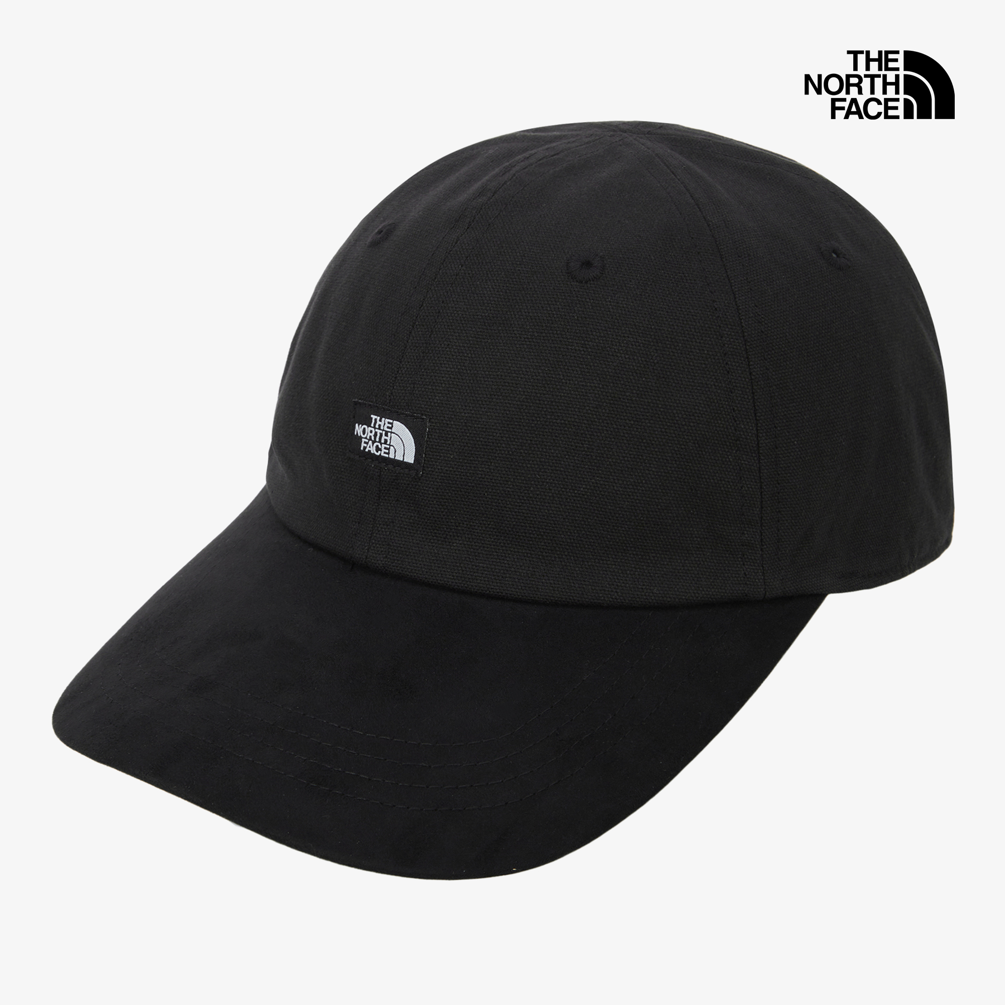 TNF MINI LOGO BALL CAP