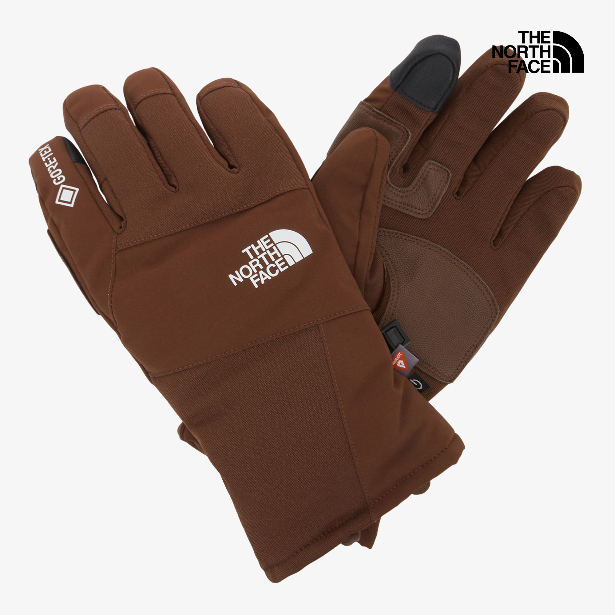 TNF GTX VAIL GLOVE