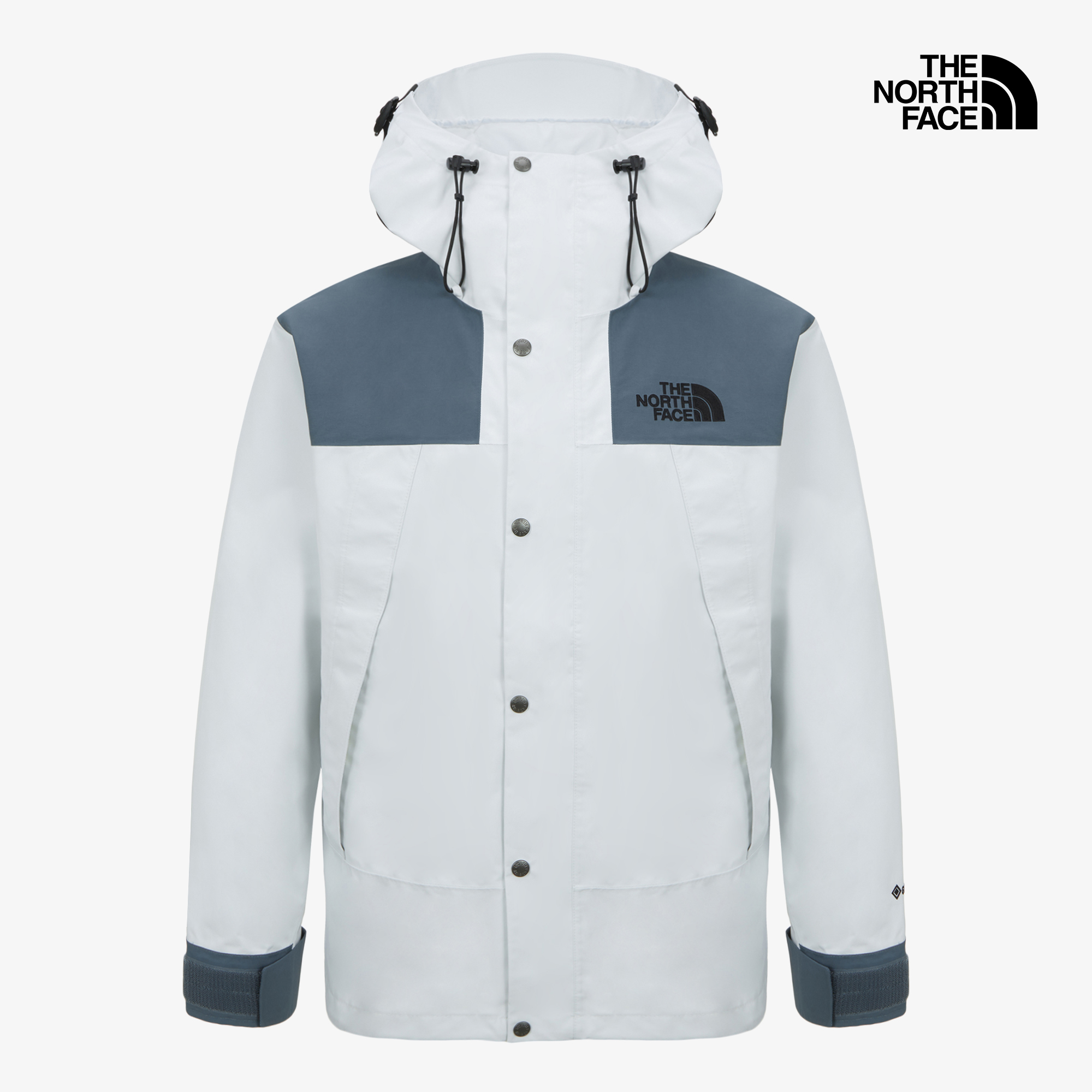 M'S GTX MOUNTAIN JACKET