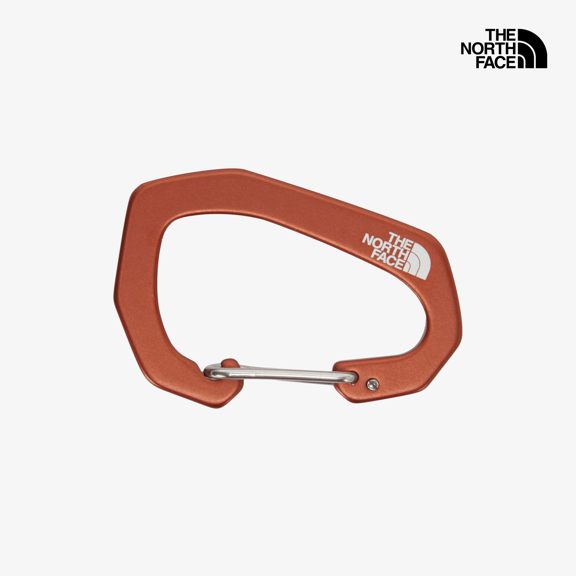 TNF CARABINER
