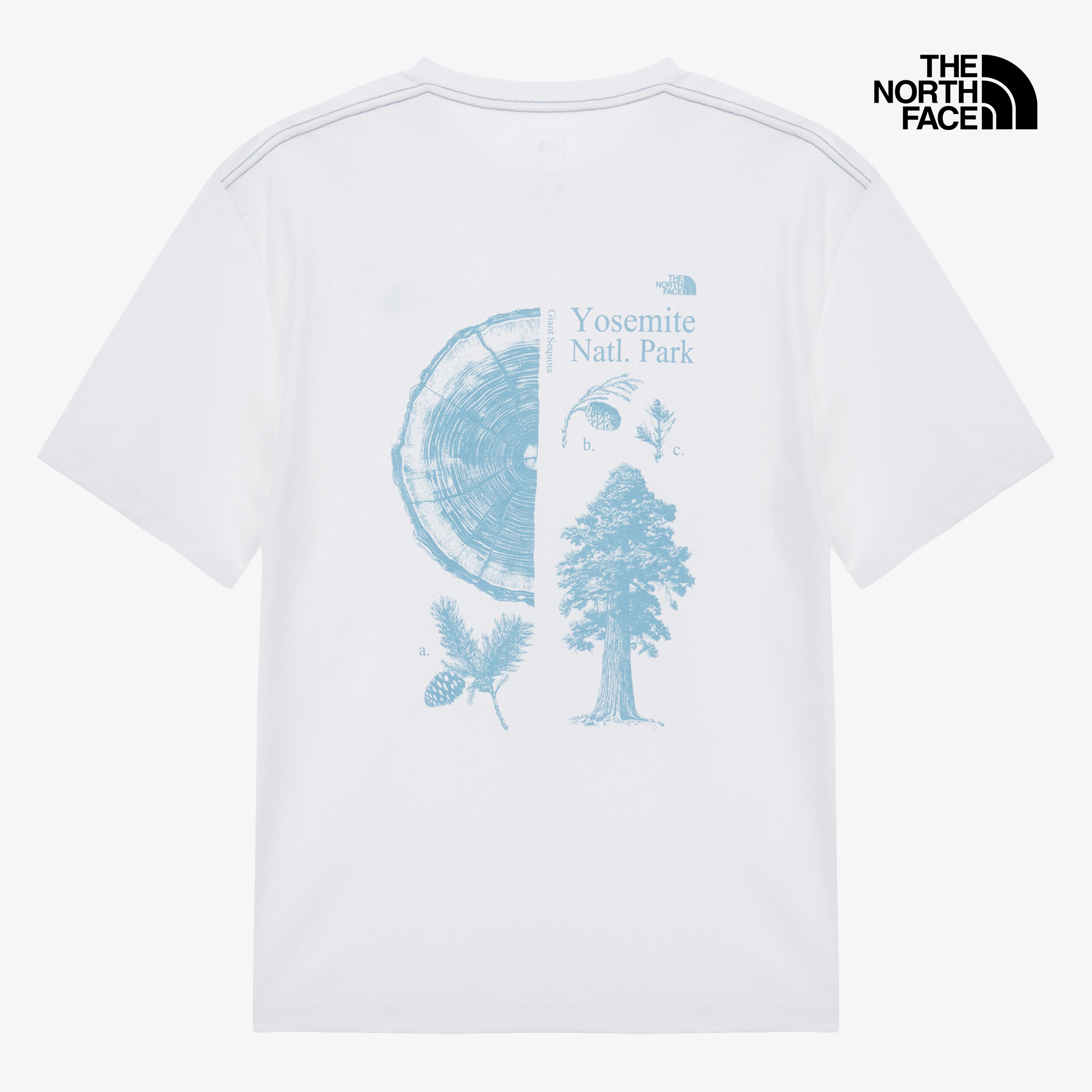 M'S SUMMERCAMP S/S R/TEE