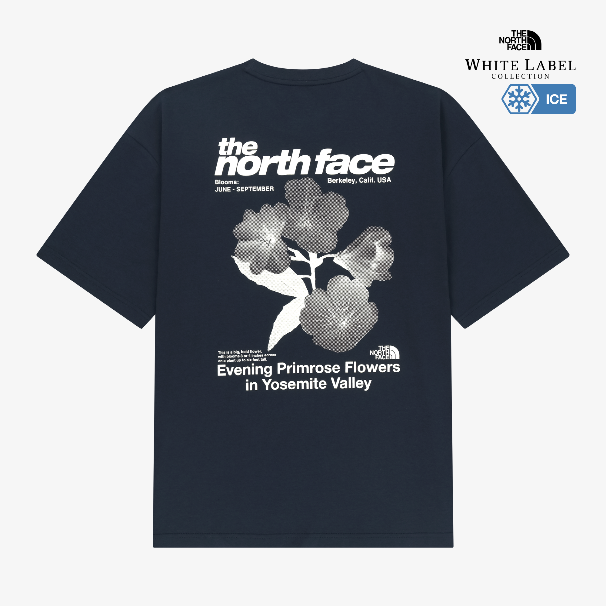 WILDFLOWER S/S R/TEE