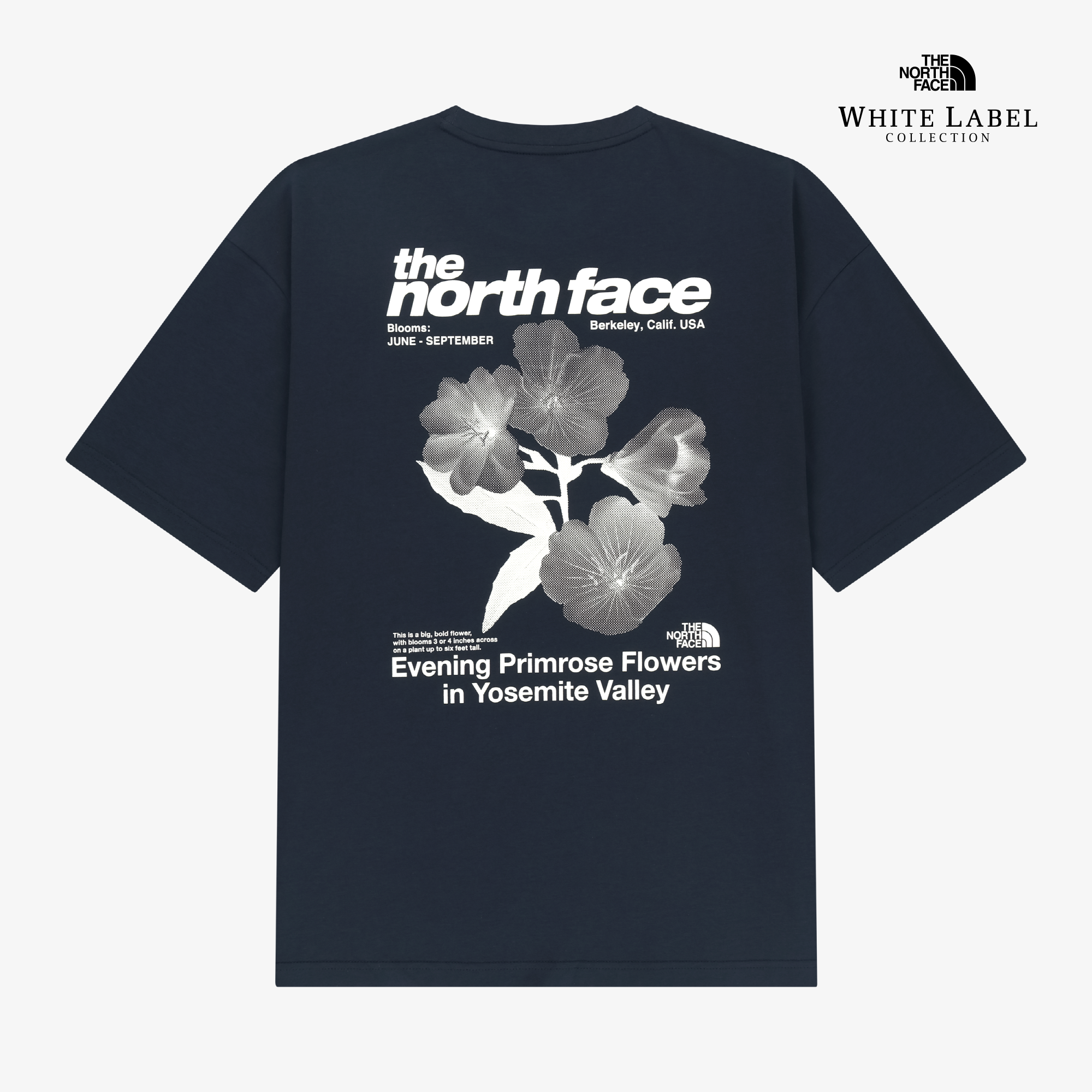 WILDFLOWER S/S R/TEE