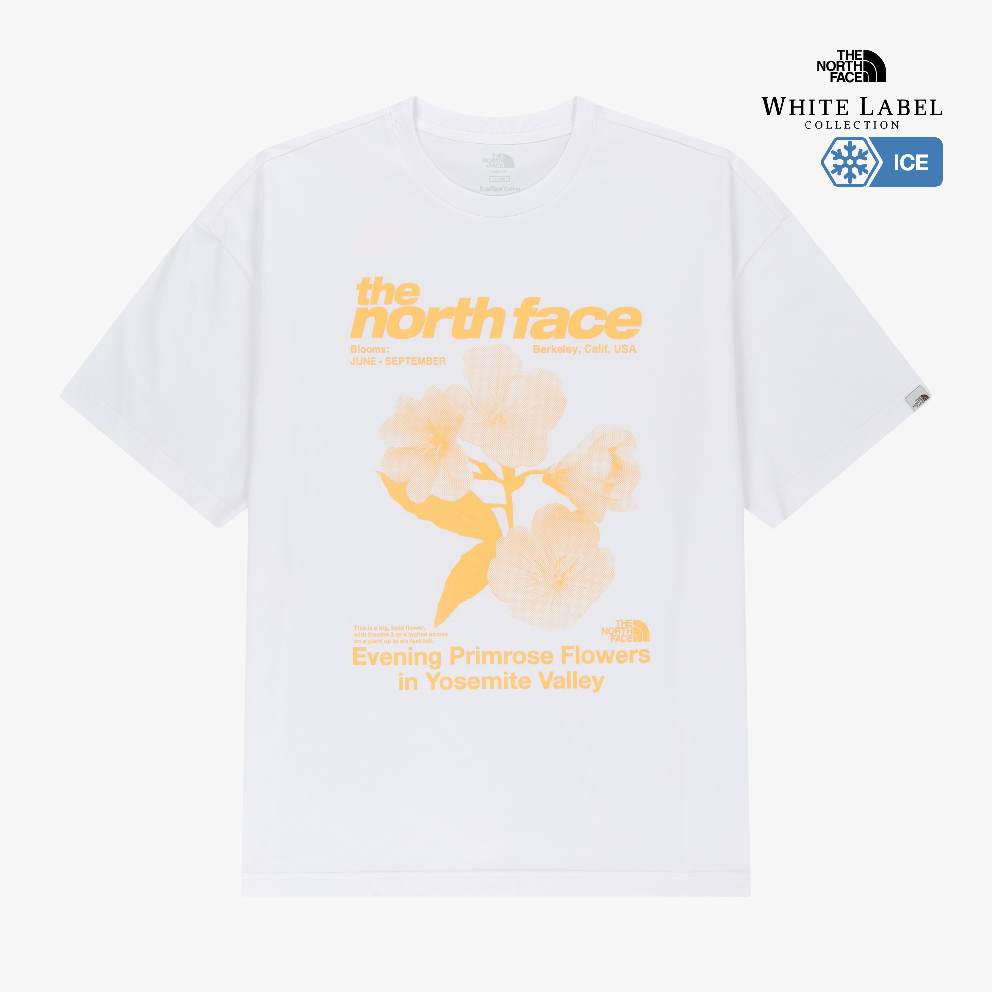 WILDFLOWER S/S R/TEE