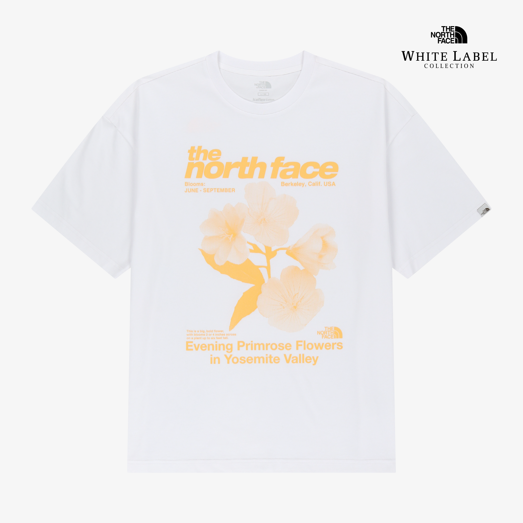 WILDFLOWER S/S R/TEE