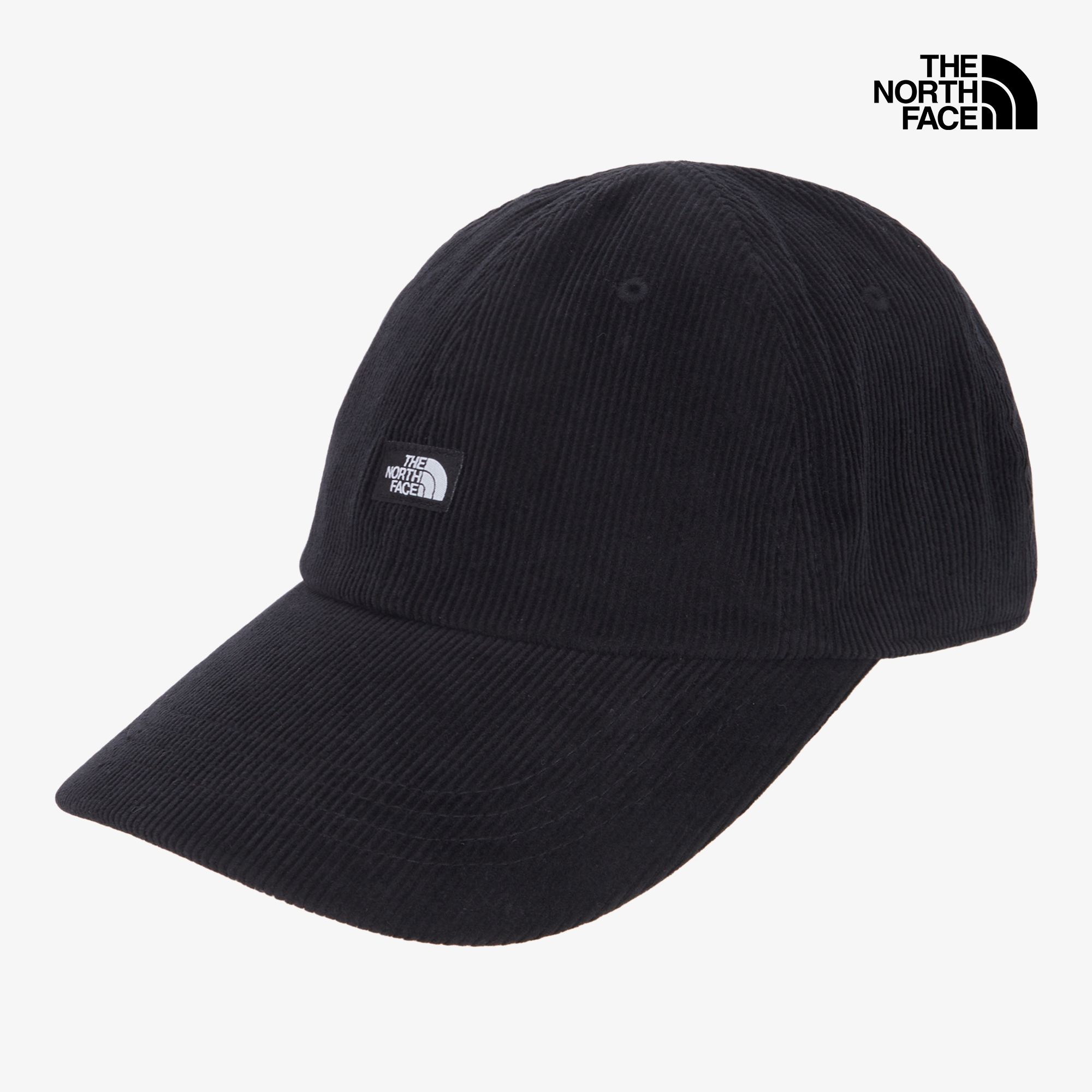 TNF MINI LOGO BALL CAP