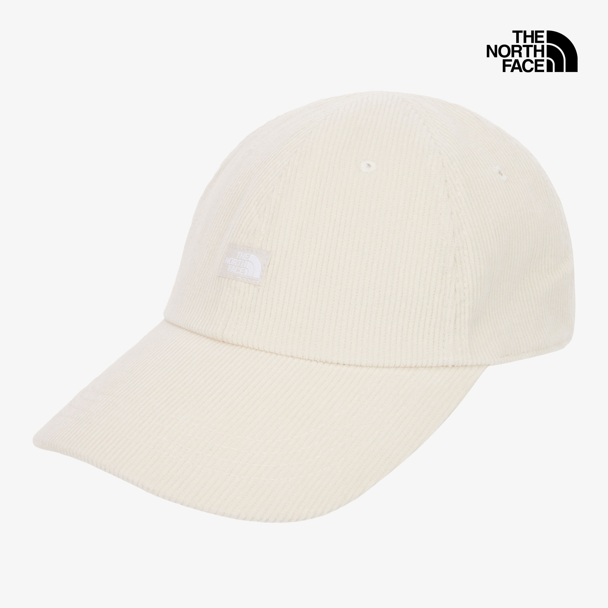 TNF MINI LOGO BALL CAP