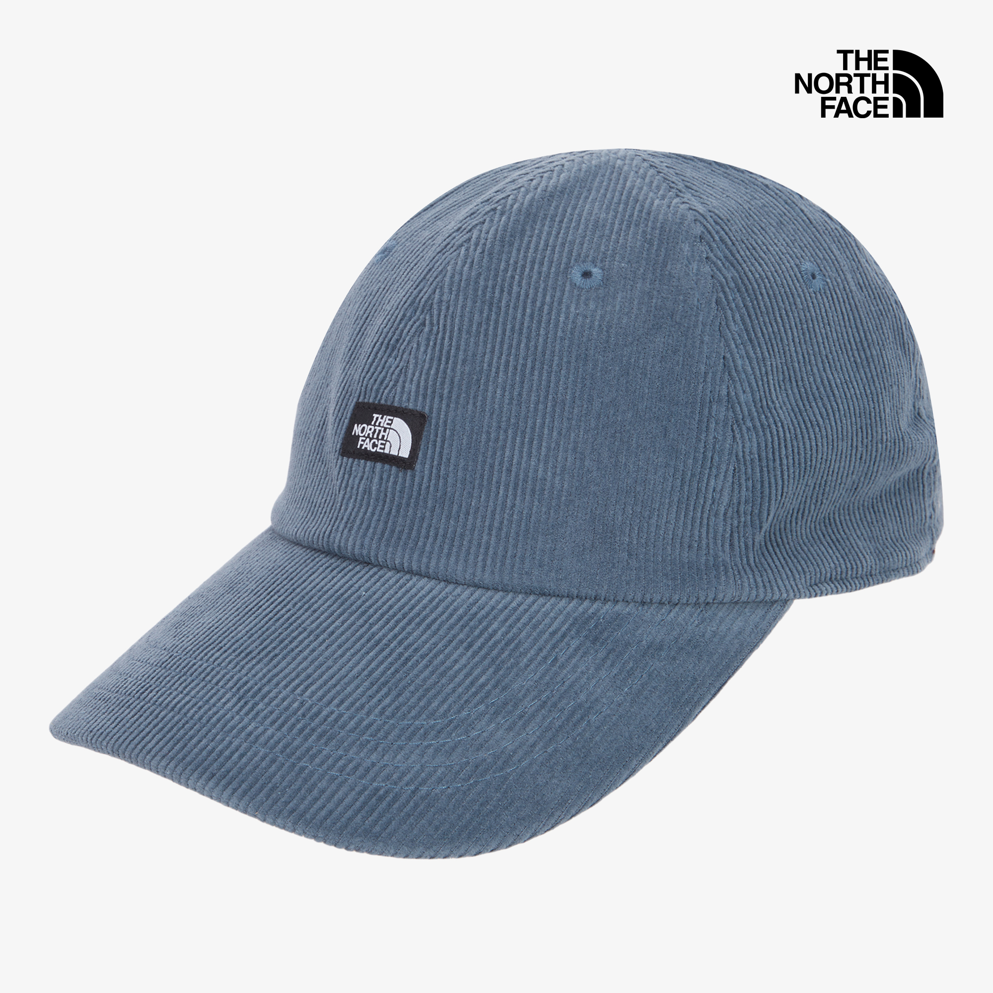 TNF MINI LOGO BALL CAP