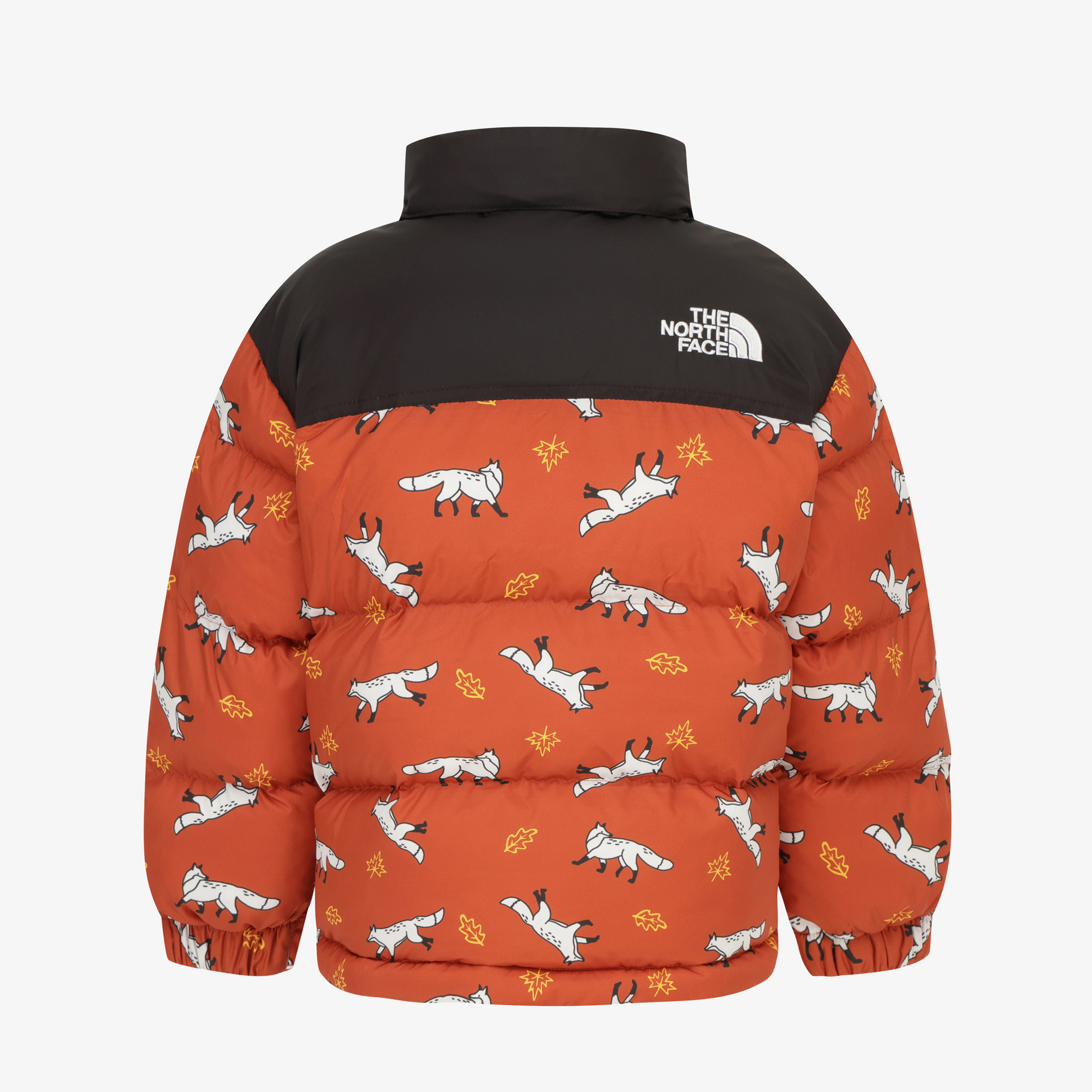 K'S ANI-MATE NUPTSE ON JACKET