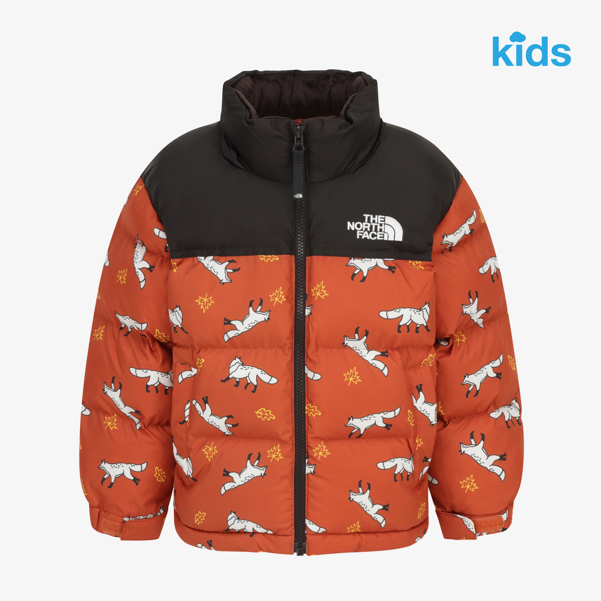 K'S ANI-MATE NUPTSE ON JACKET