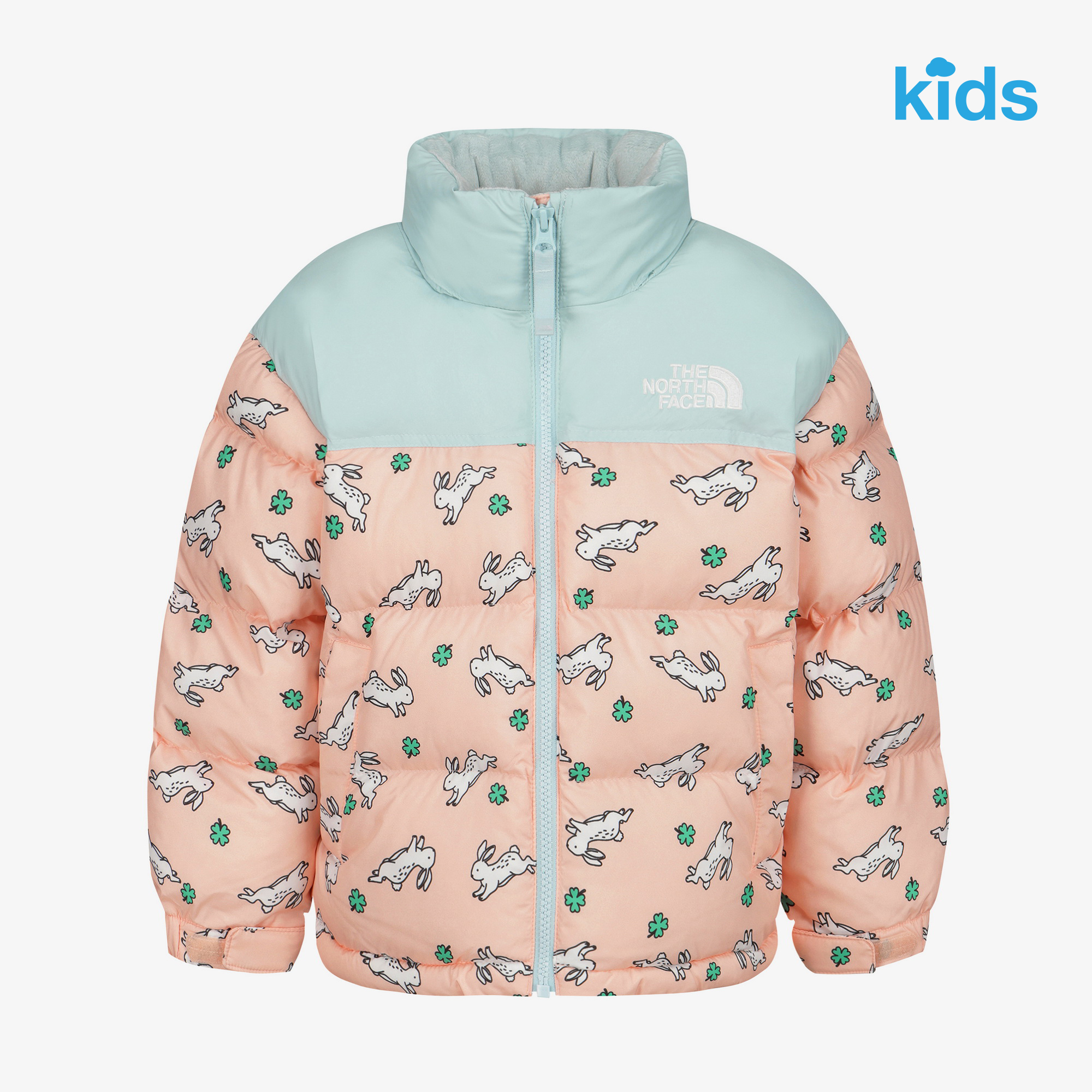 K'S ANI-MATE NUPTSE ON JACKET