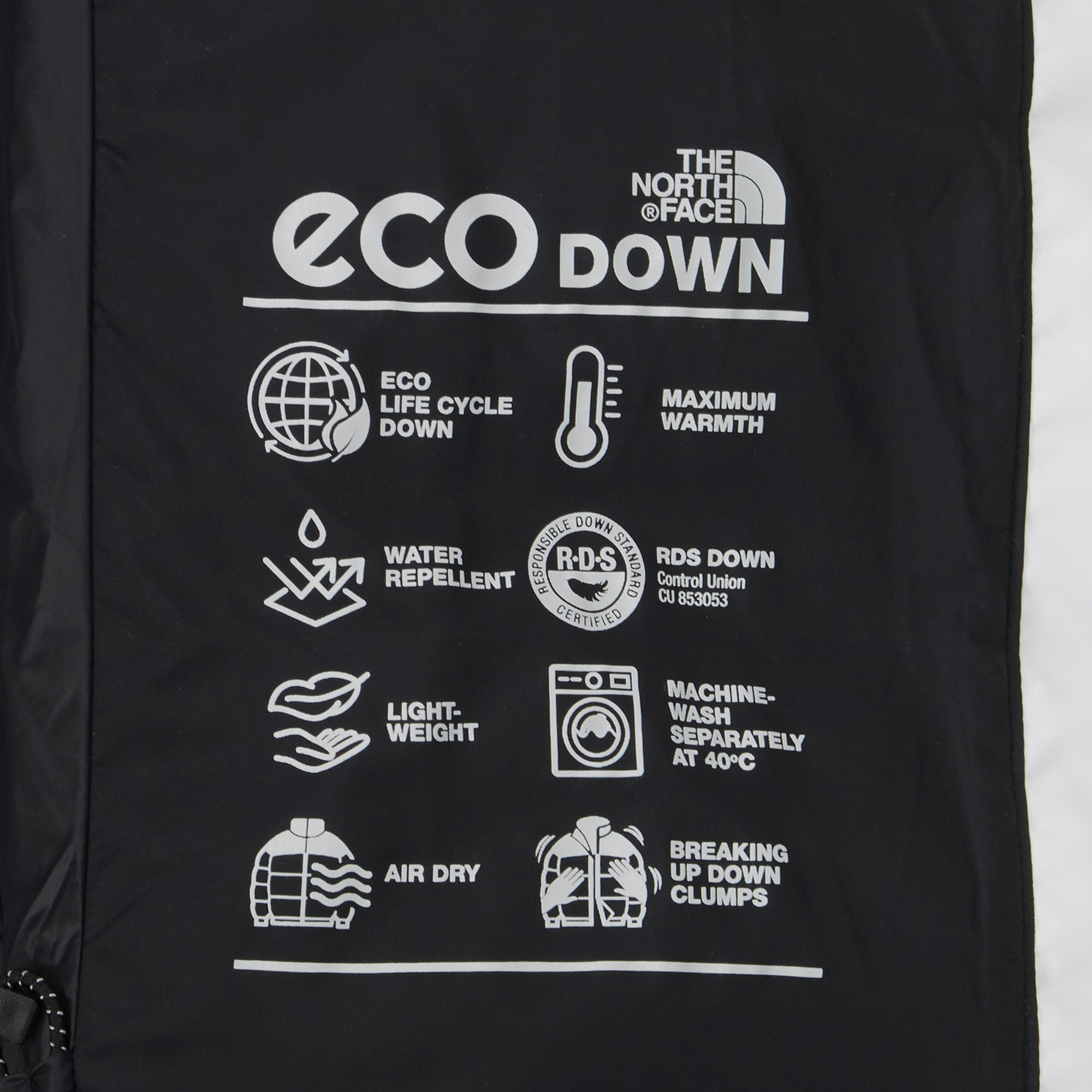 M'S VAIL DOWN JACKET (RDS)