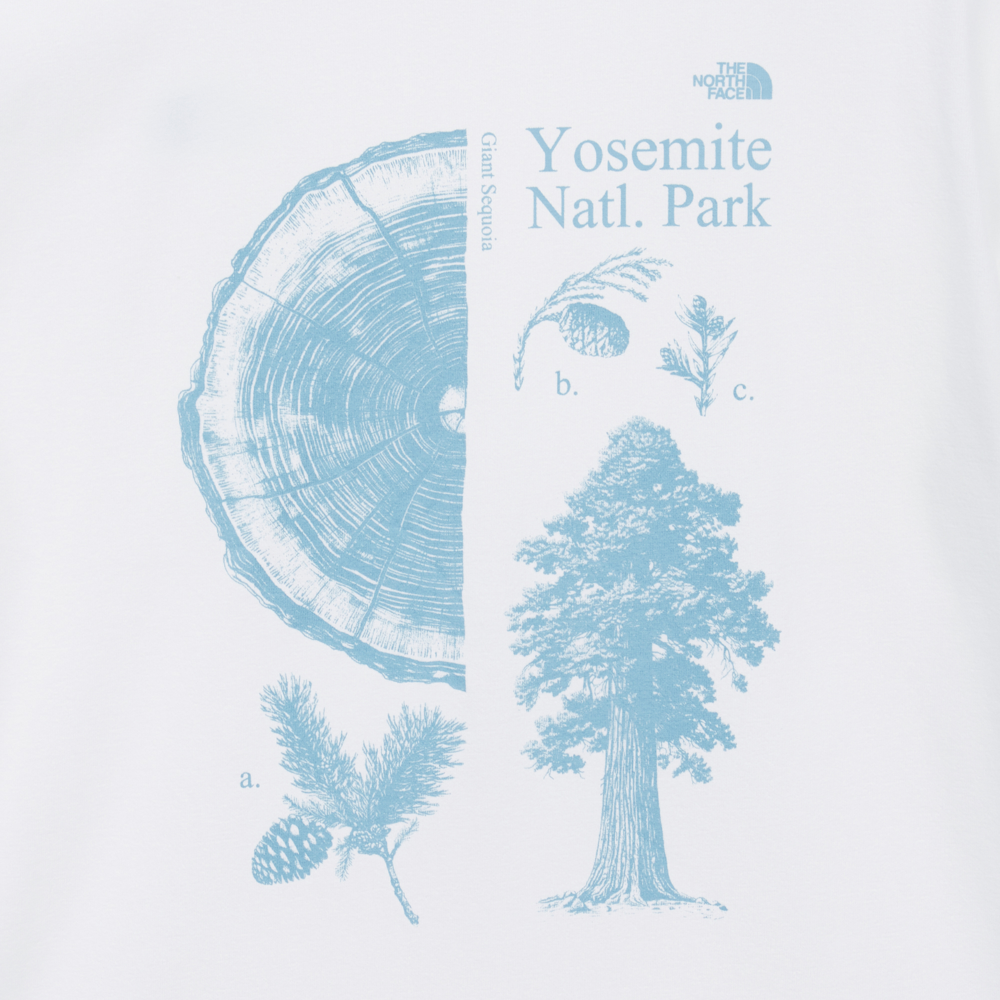 M'S SUMMERCAMP S/S R/TEE