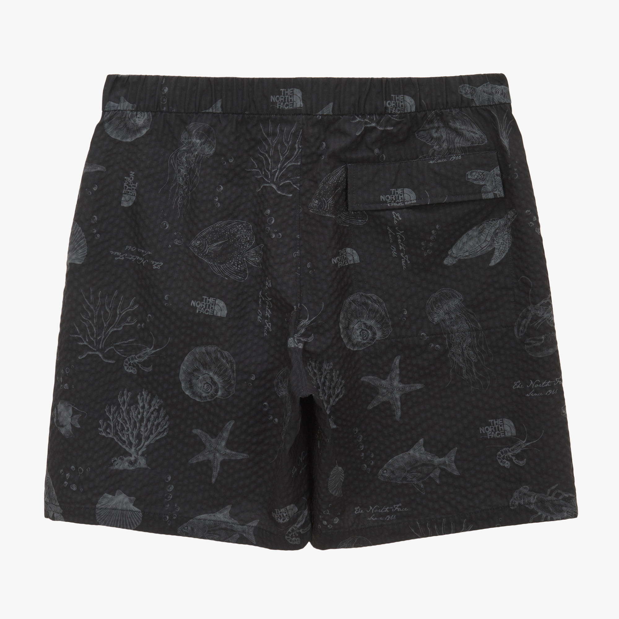 M'S MARIS SHORTS