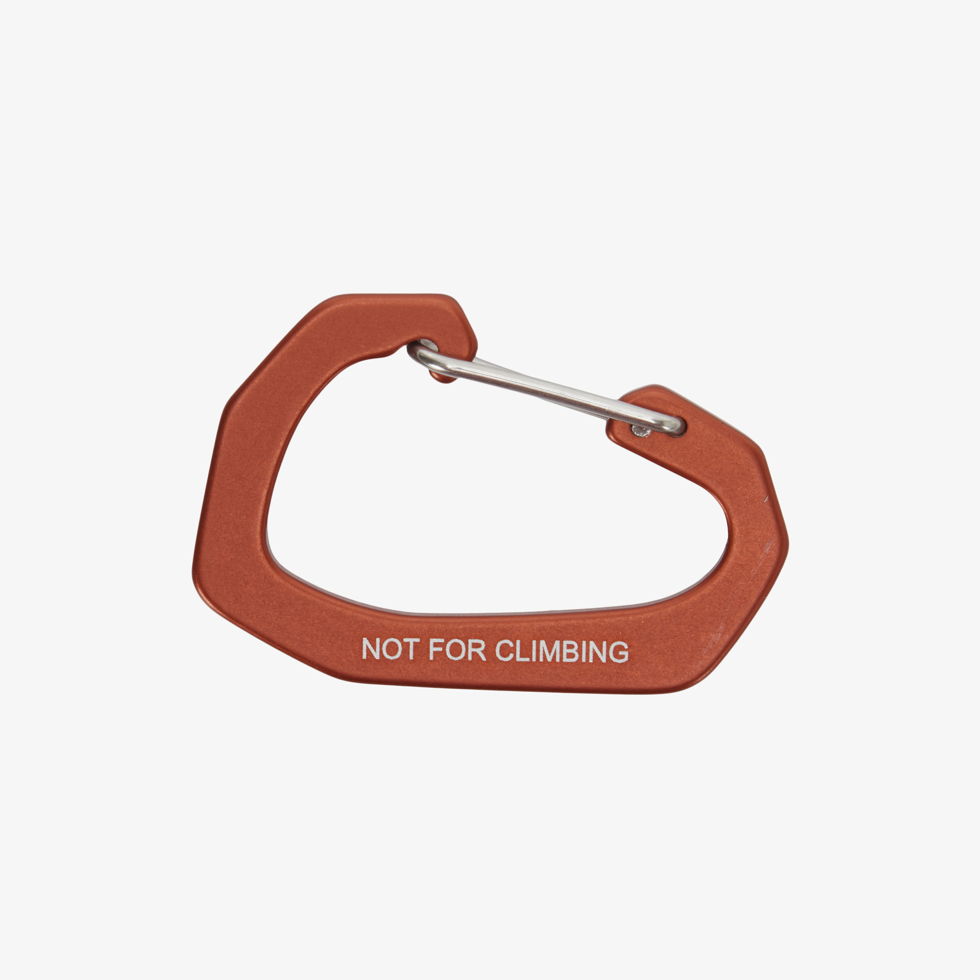 TNF CARABINER