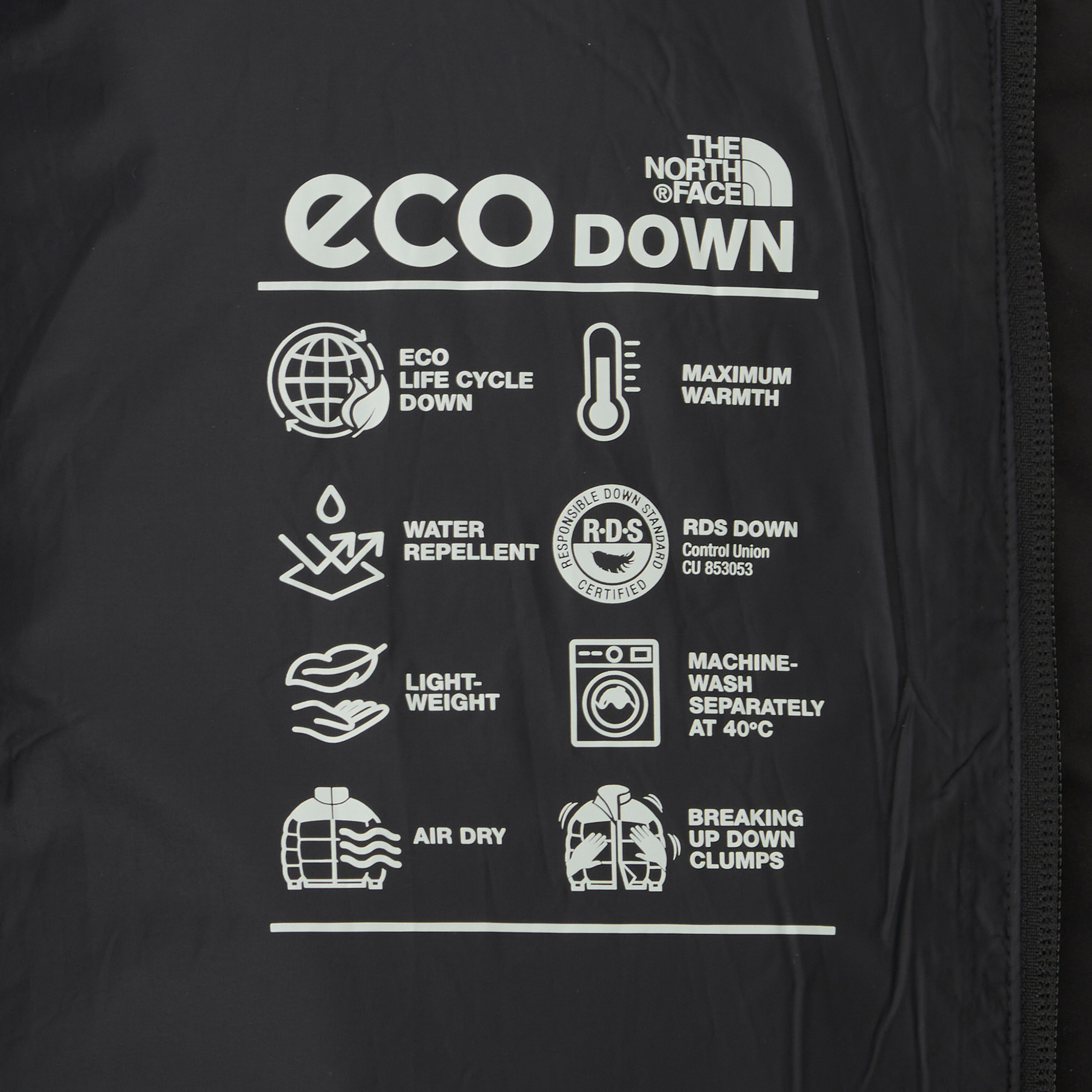 M'S ANORT DOWN COAT (RDS)