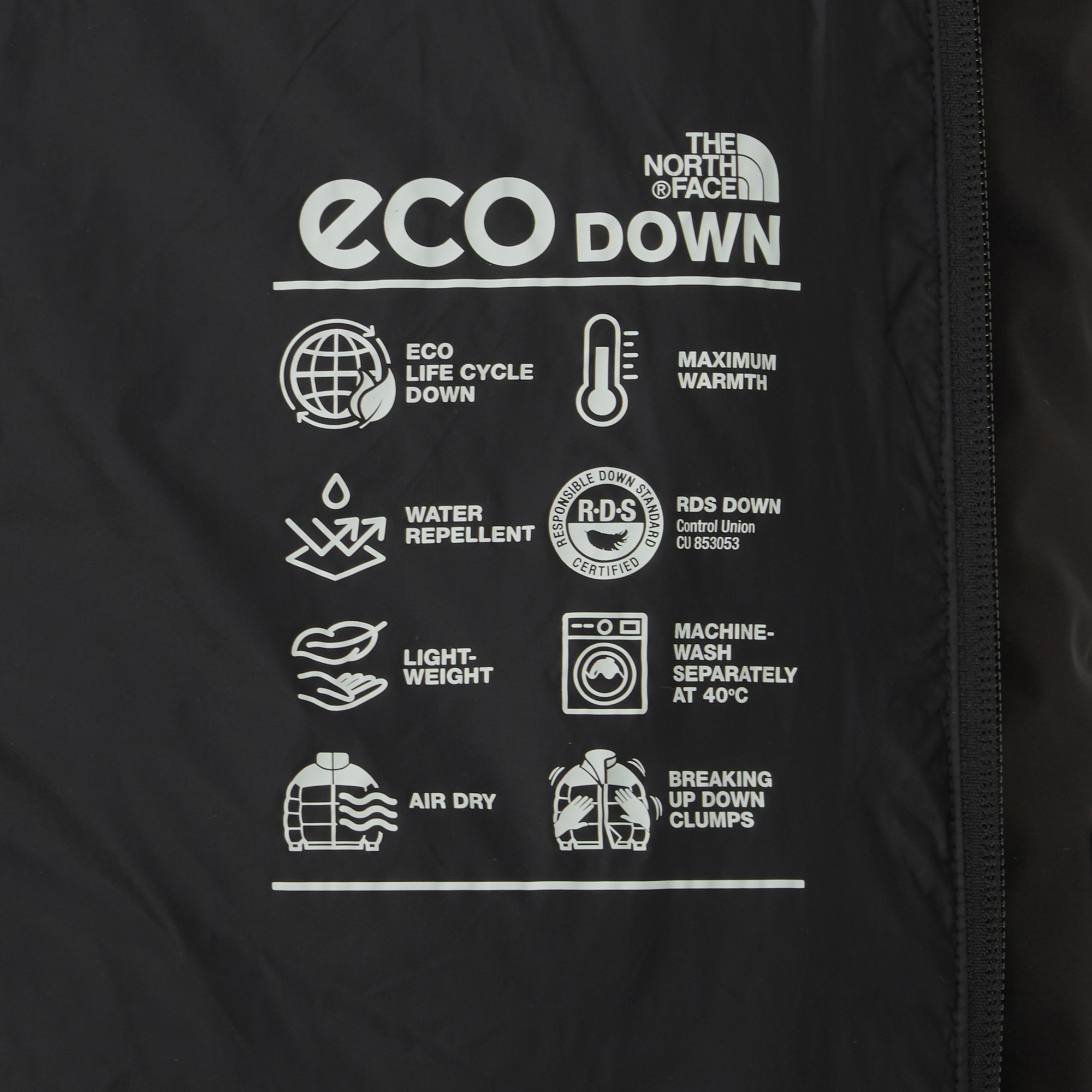 M'S ANORT DOWN COAT (RDS)