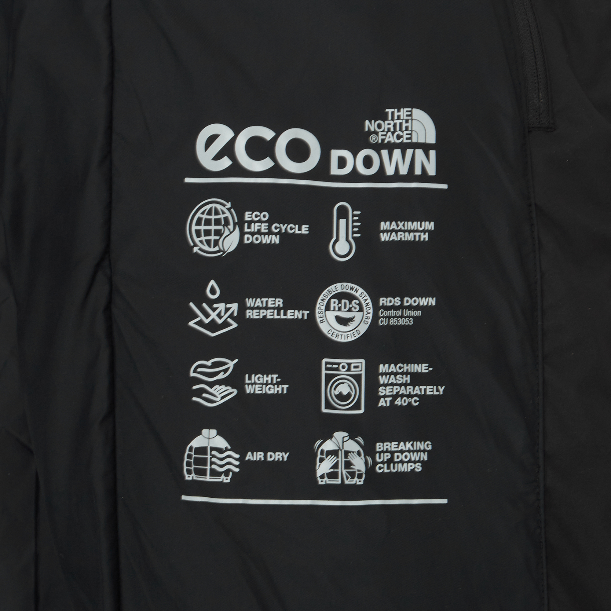 M'S VAIL DOWN COAT (RDS)