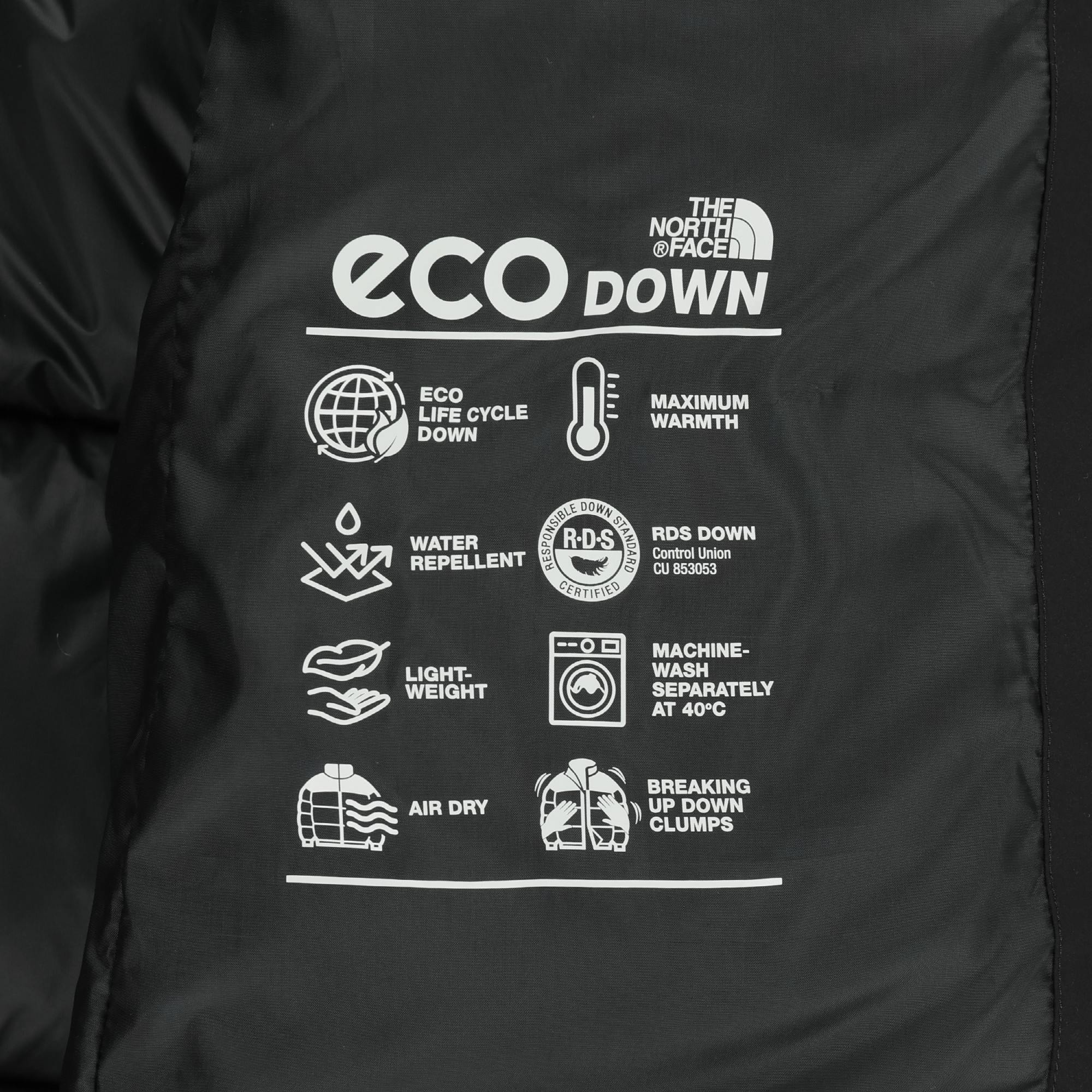 W'S EVERLOFT DOWN COAT (RDS)