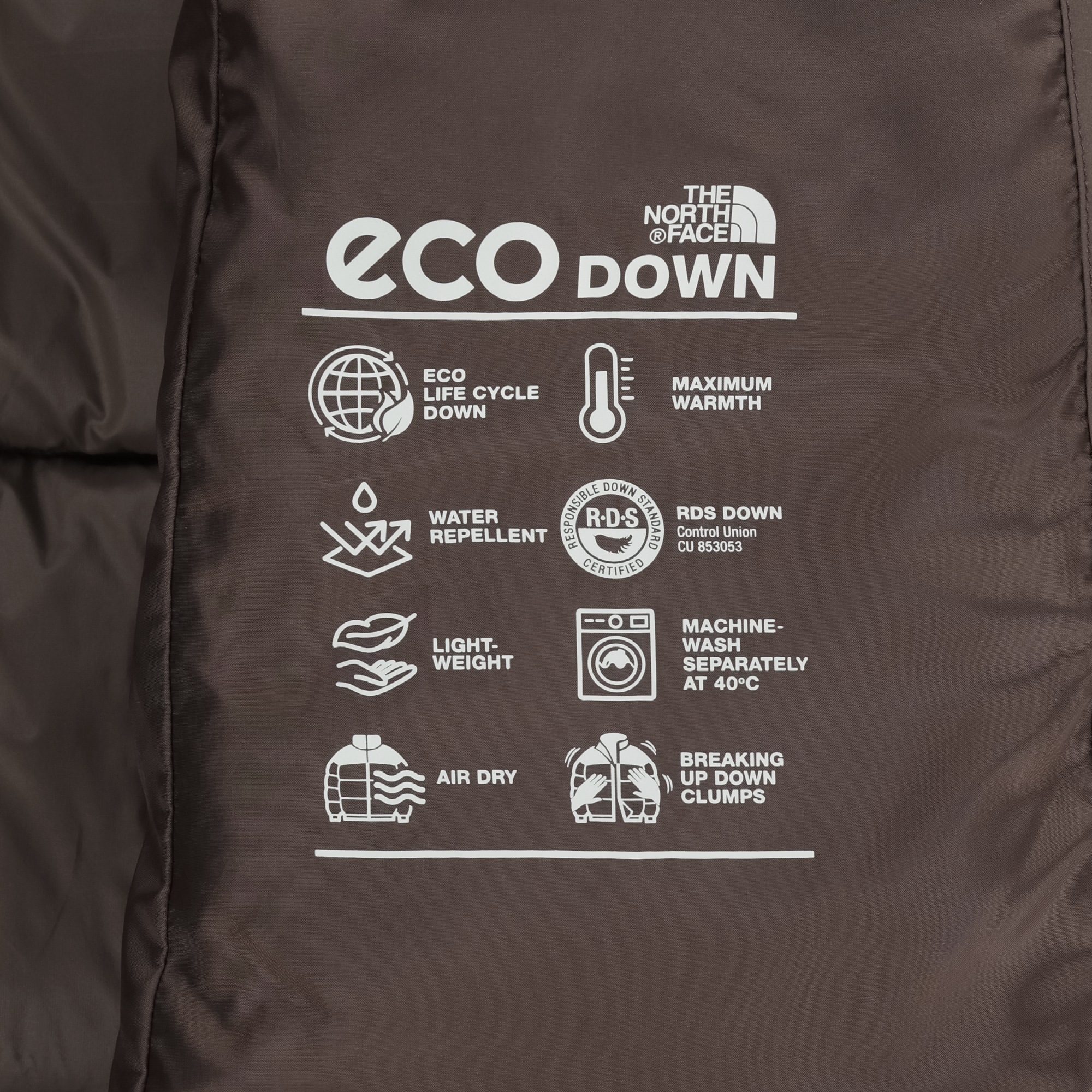 W'S EVERLOFT DOWN COAT (RDS)