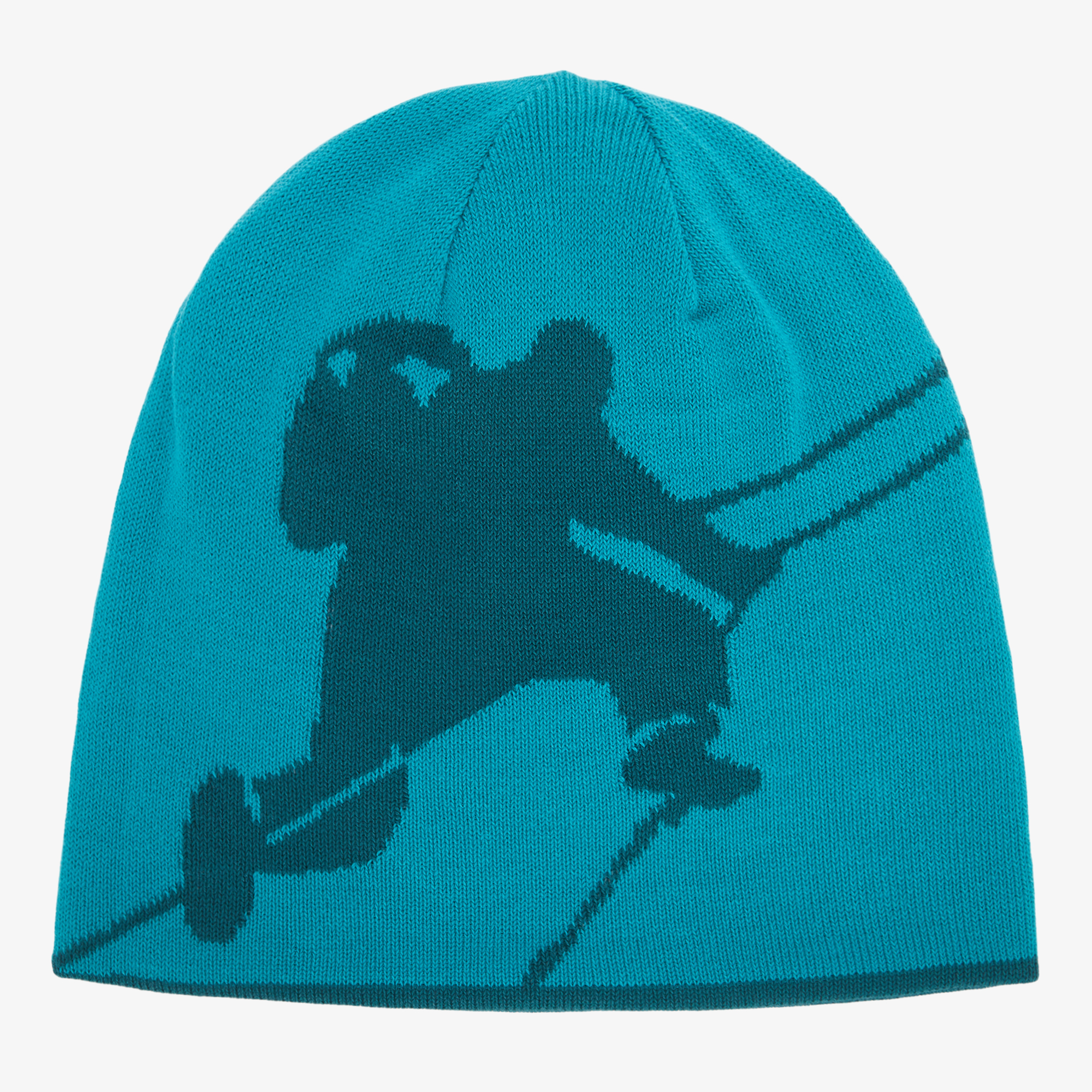 REVERSIBLE HIGHLINE BEANIE