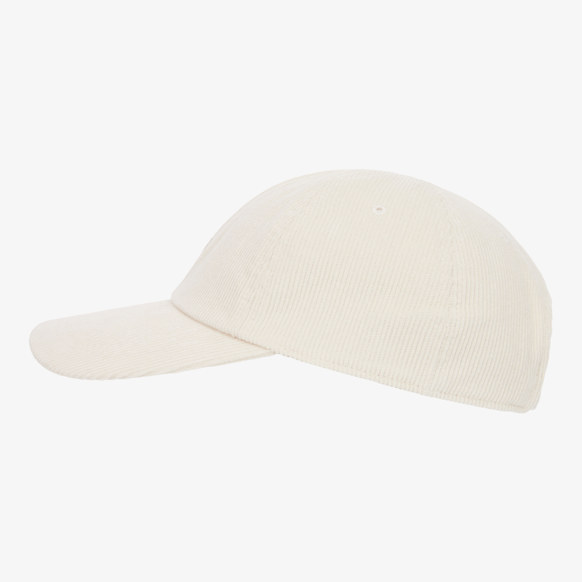 TNF MINI LOGO BALL CAP