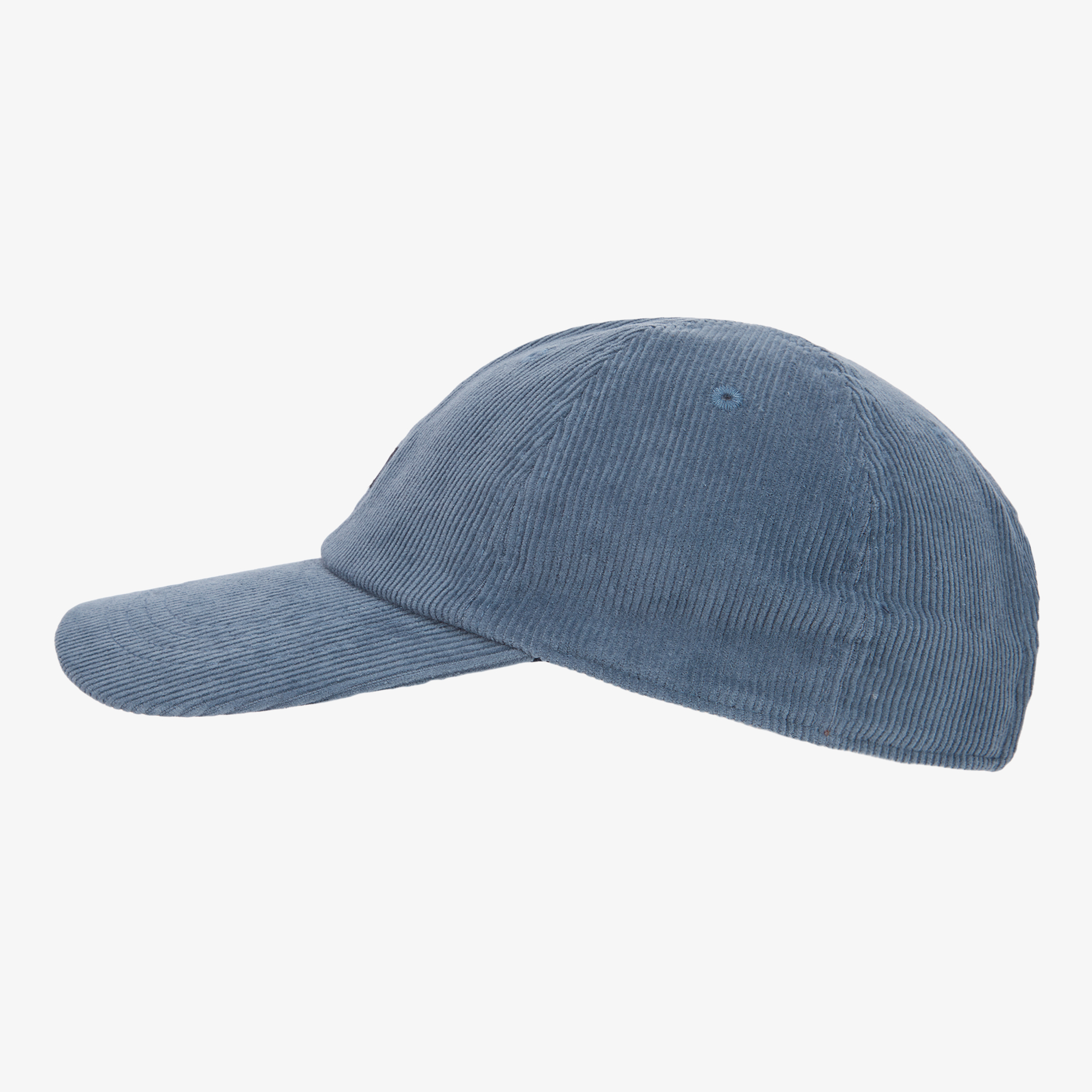 TNF MINI LOGO BALL CAP